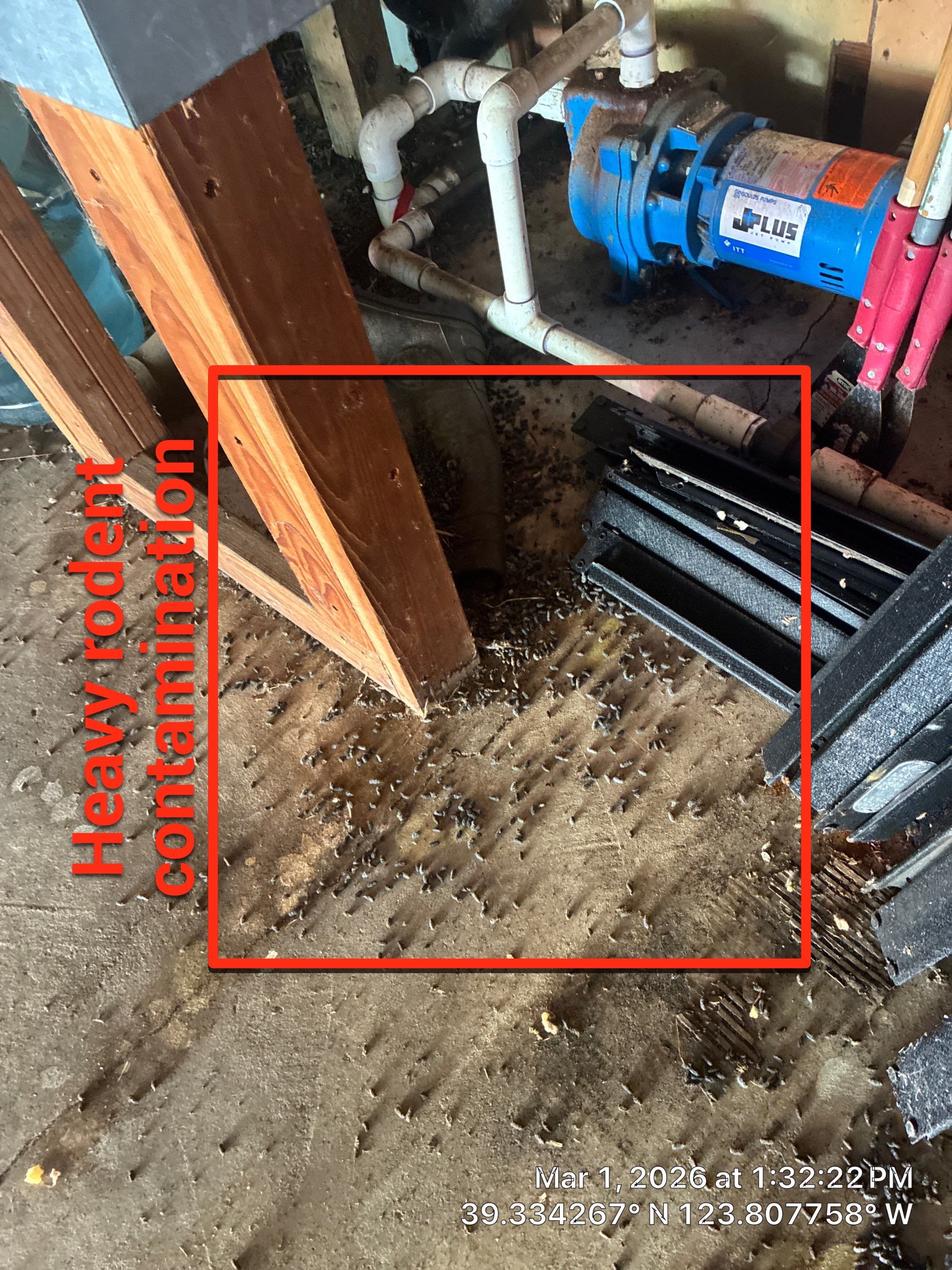 Project in Mendocino by 911 Hazmat Cleanup 