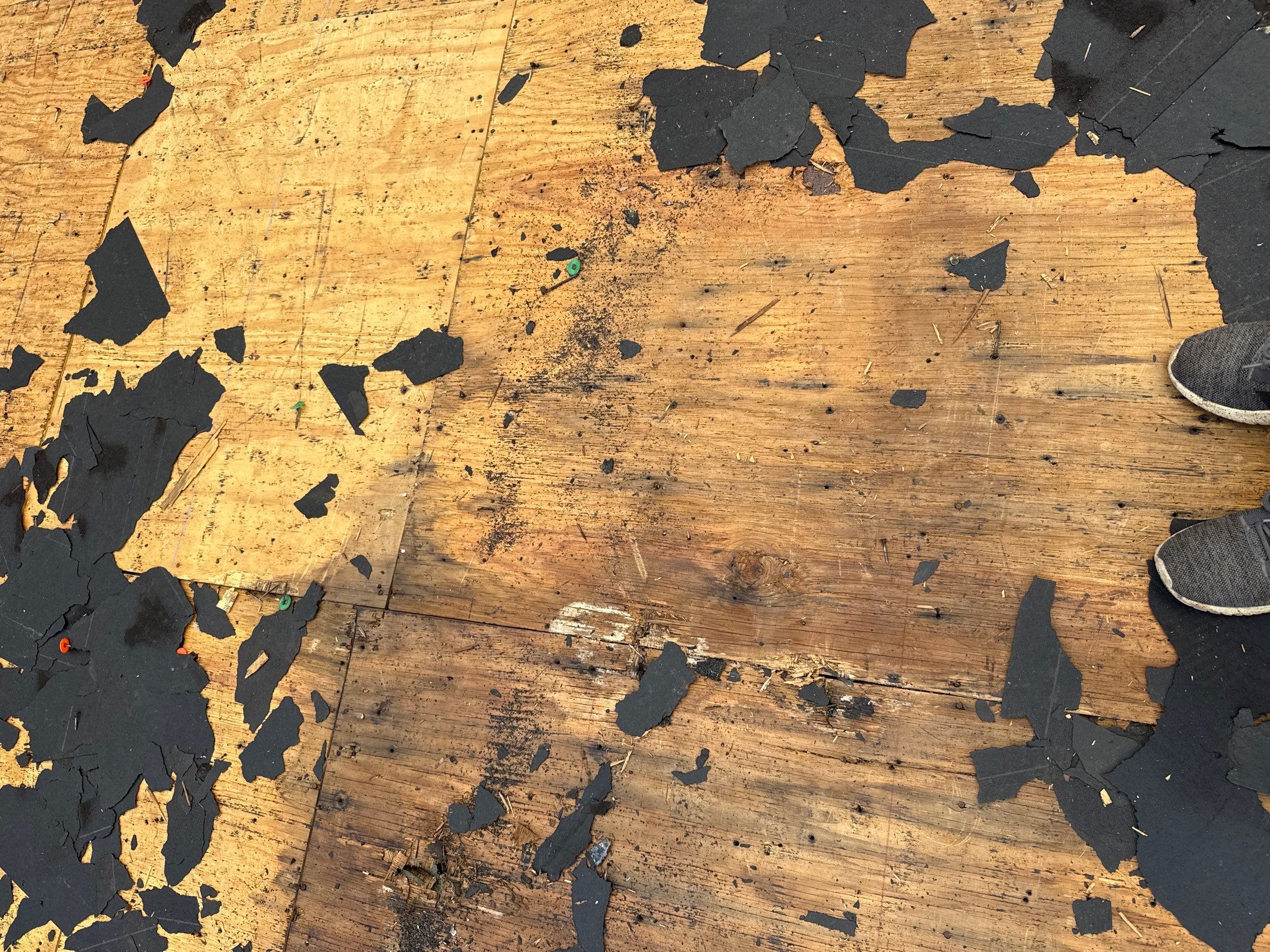 Dolly Ditchie by United Contracting and Roofing