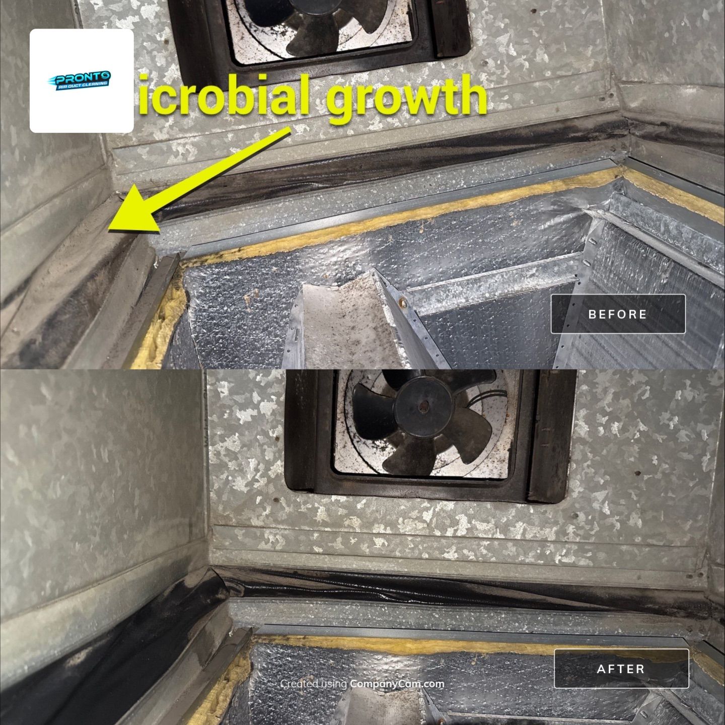 Air Duct Cleaning Manassas VA by Pronto Air Duct Cleaning