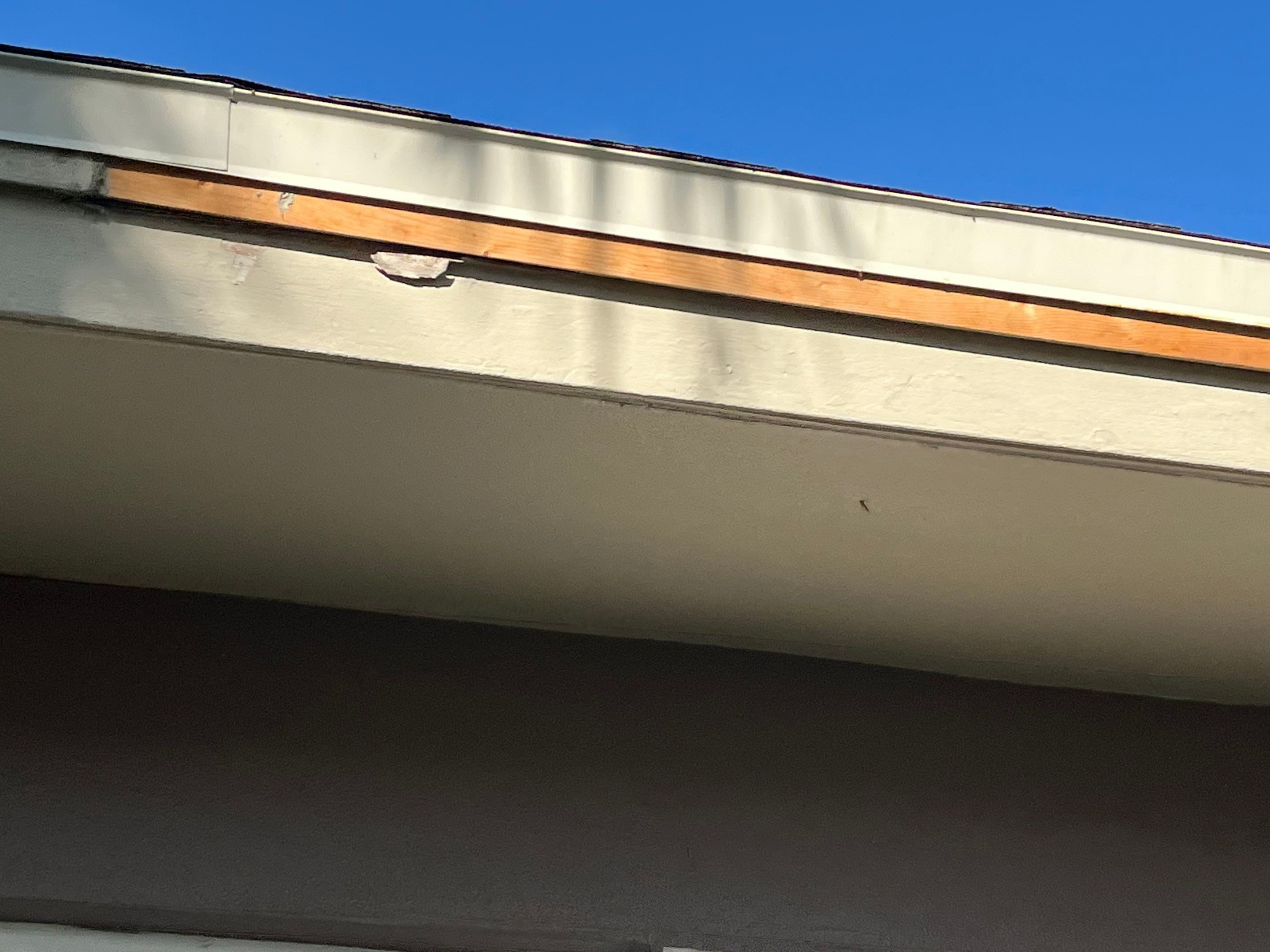 Project in St. Petersburg 33705 by Mitchell Roofing Company LLC
