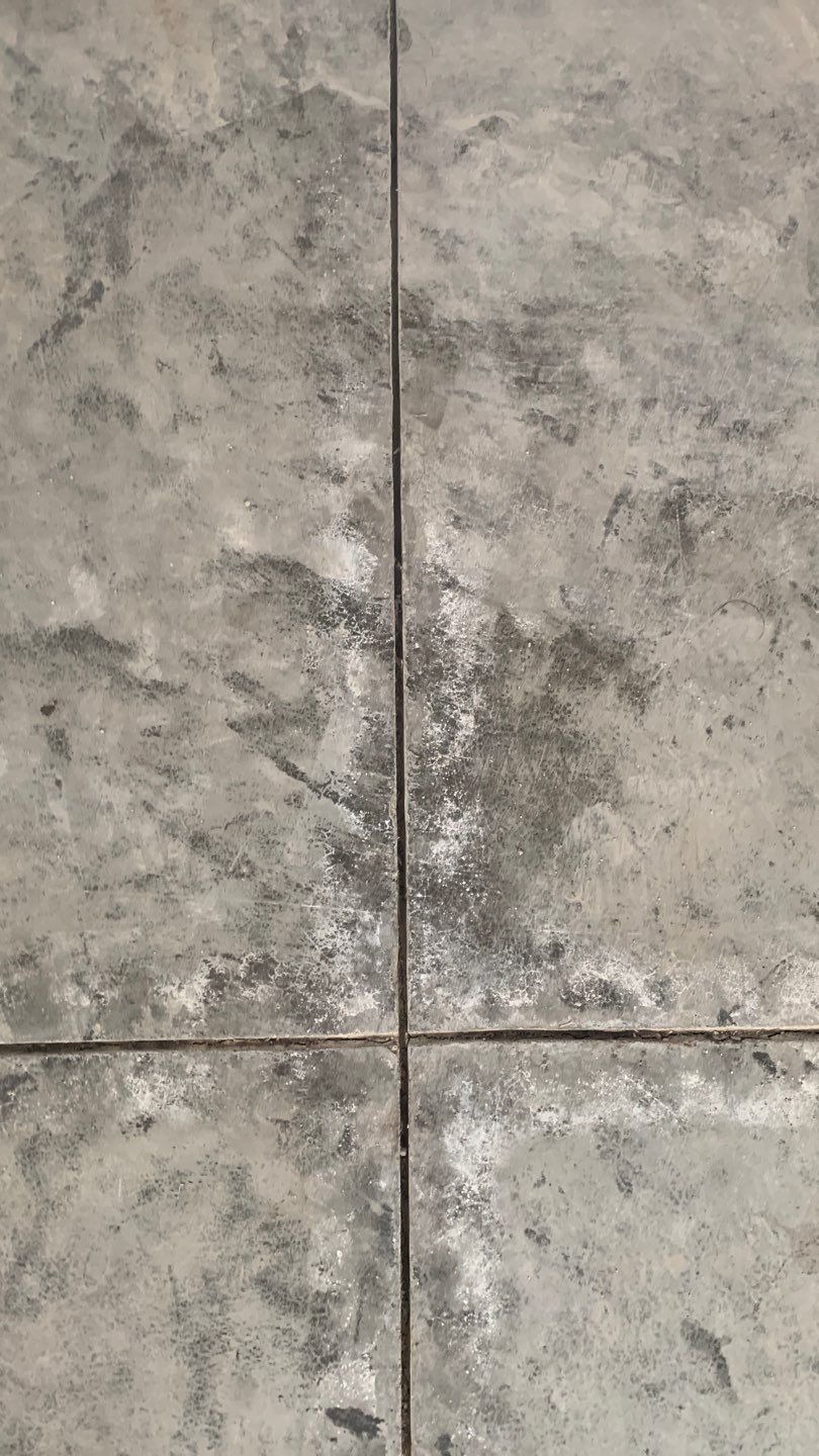 The Total Package: Floor, Stairs and Verticals! by Revival Concrete Coatings, LLC