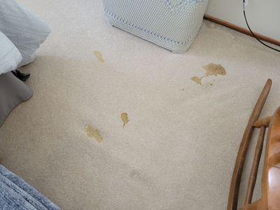 Removal of Glue Stains