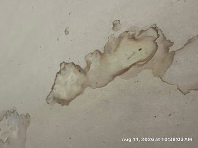 Water Damage Restoration — Naples, FL