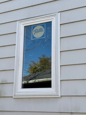 New Windows and Storm Door