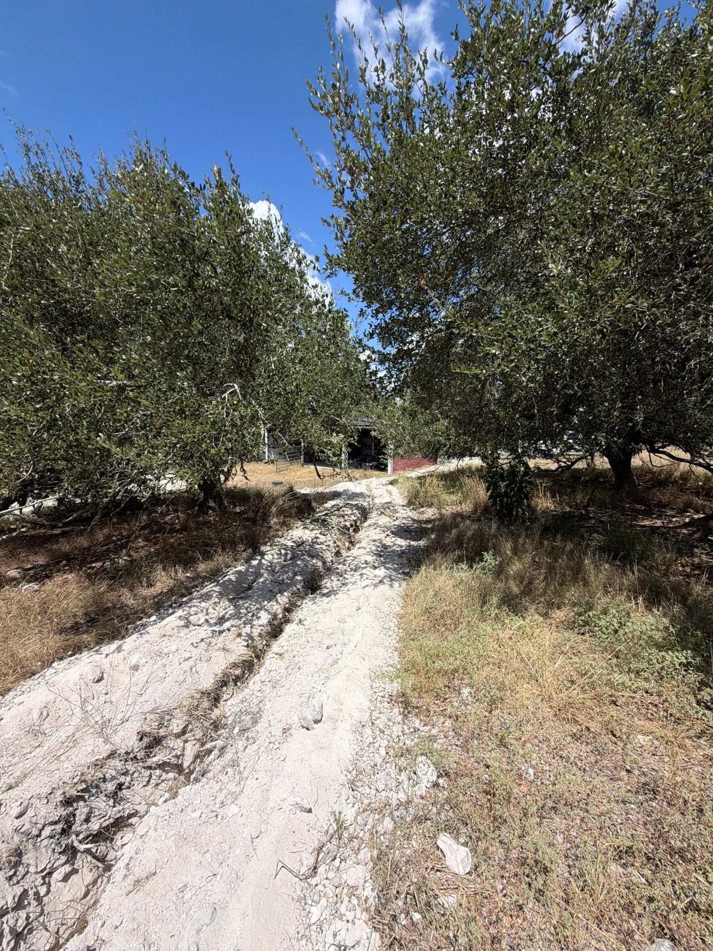 9.5k Gallon Cistern by Hill Country Rain Water