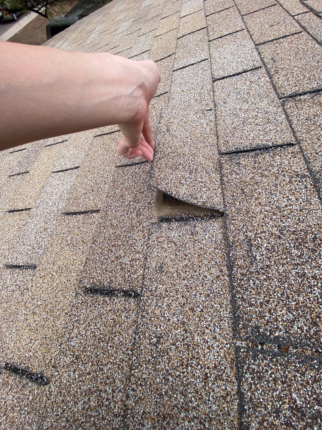 Pedro's Full Re-roof by All Storm Roofing & Construction