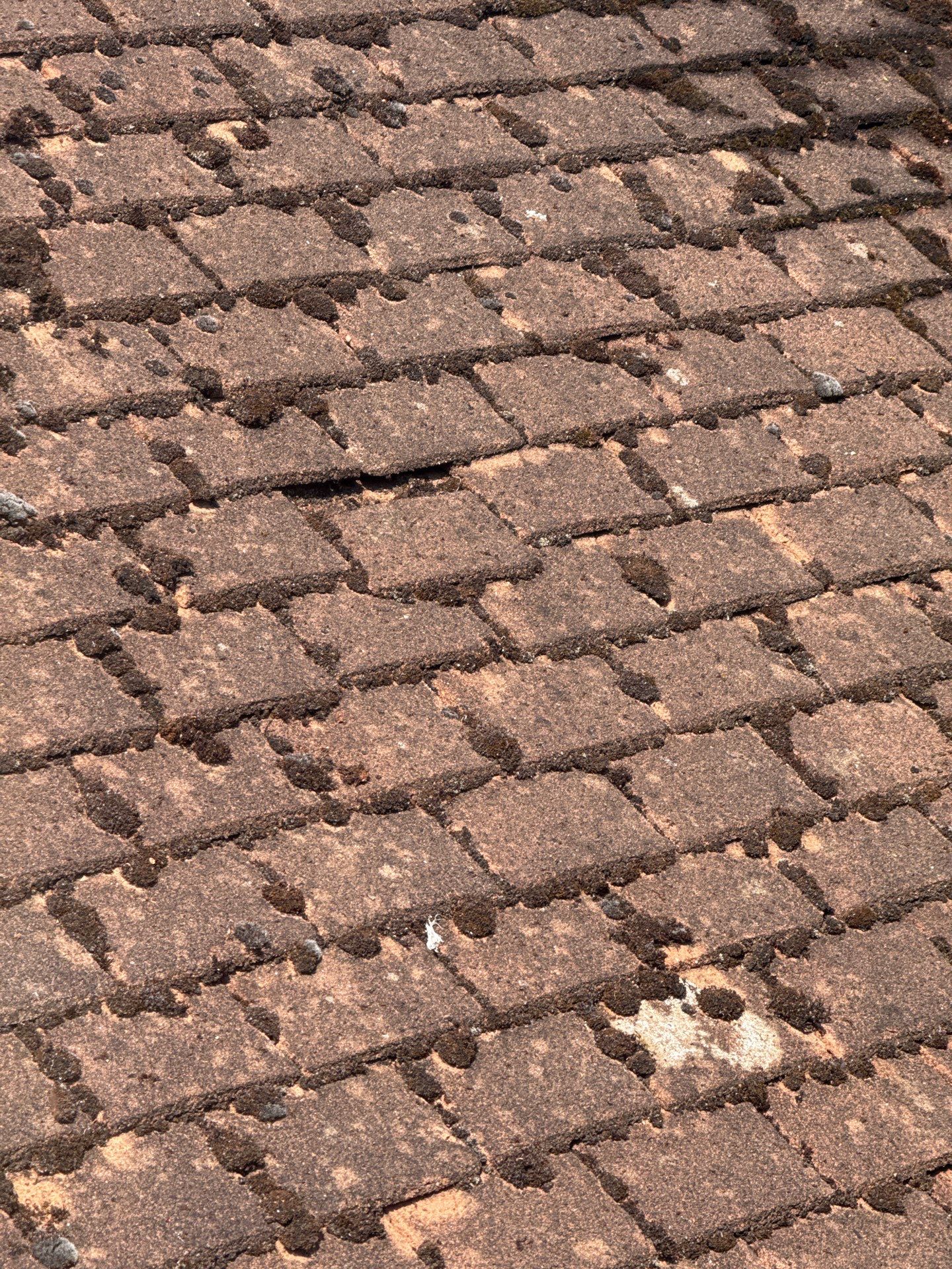 Roof Clean - Gutter Clean - Biocide Treatment by Ges Exterior Cleaning ltd