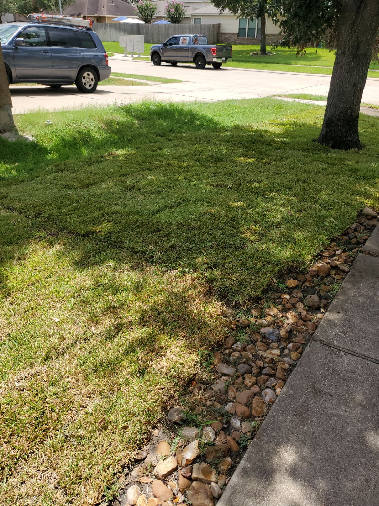 Sandra — Front & Backyard Leveling, Drainage, and Sod Transformation by Texas Urban Elements