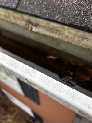 Turtle Shell gutter protection installation in Aurora, IL 60502, photograph 4