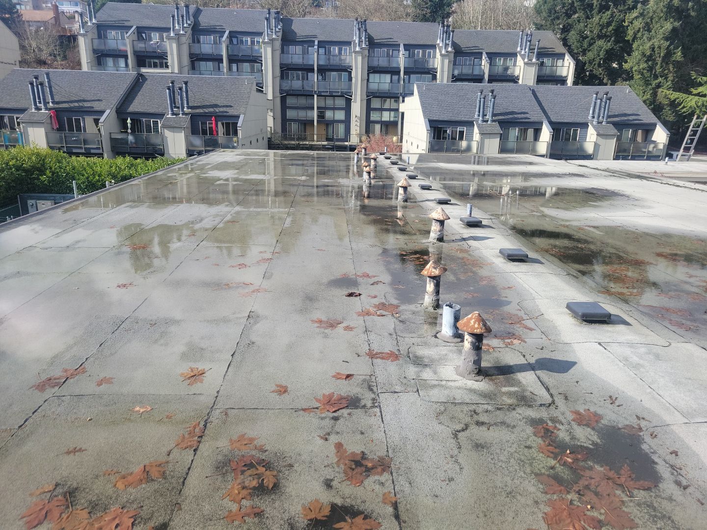 2024 Seattle Multi-Family Overlay by Alternative Roofing Systems Inc. 