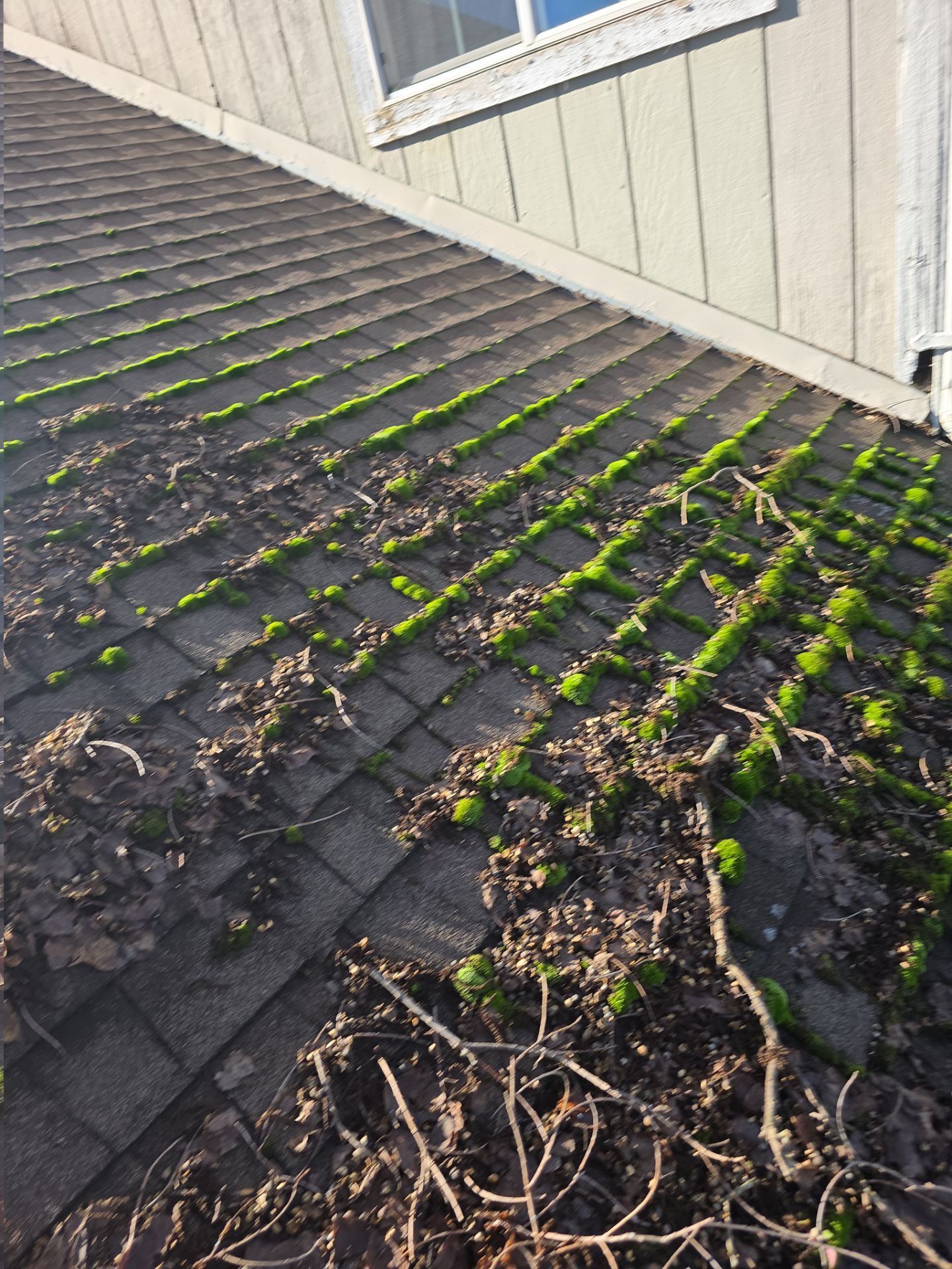 Roof Rejuvenation using Roof Maxx Treatment by Roof Maxx of Folsom