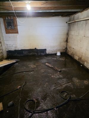 Taking Back Your basement