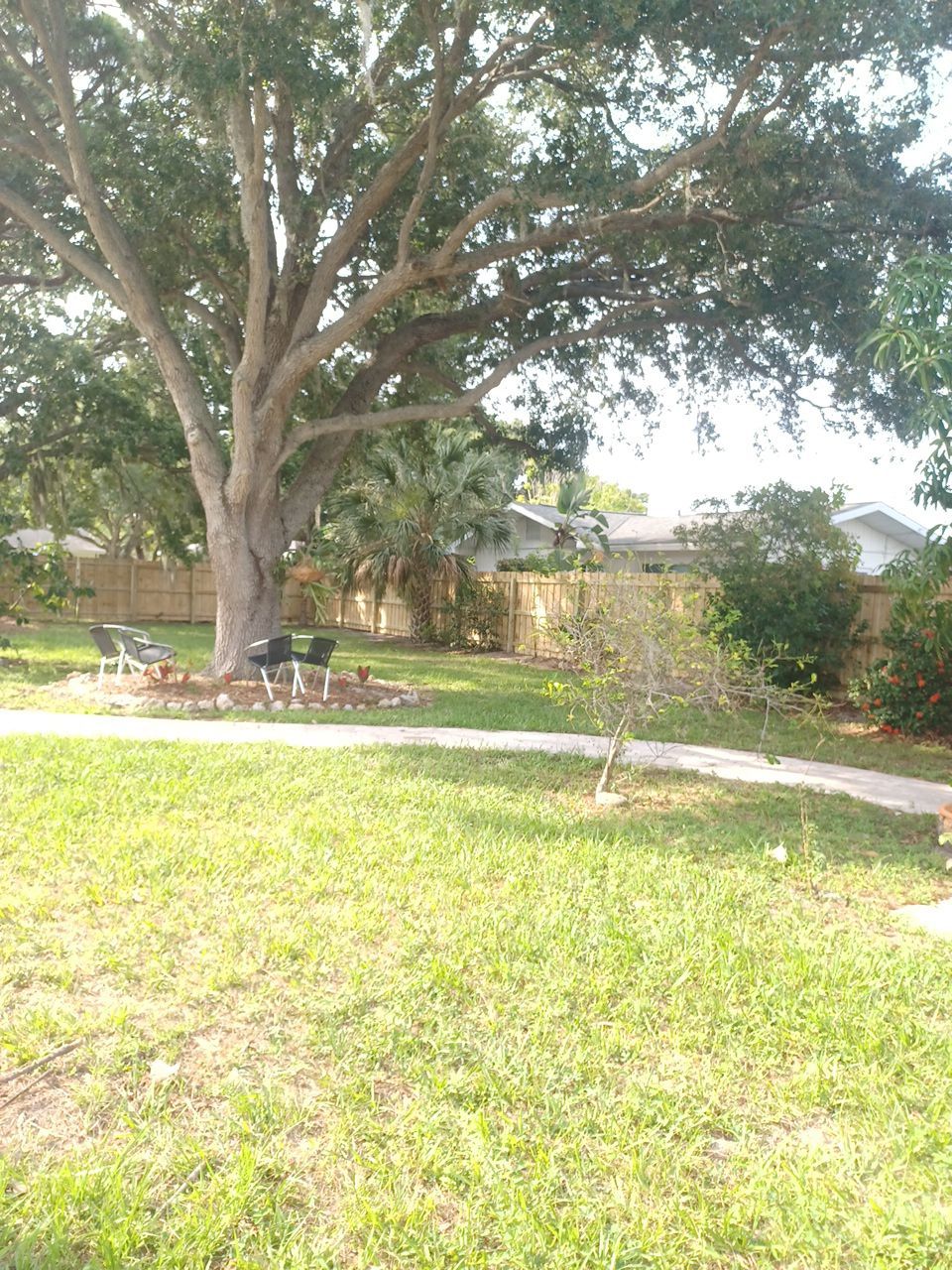 Sarasota, FL 6ft. Tall Treated Board on Board Wood Fence by Asap fence and gates, LLC