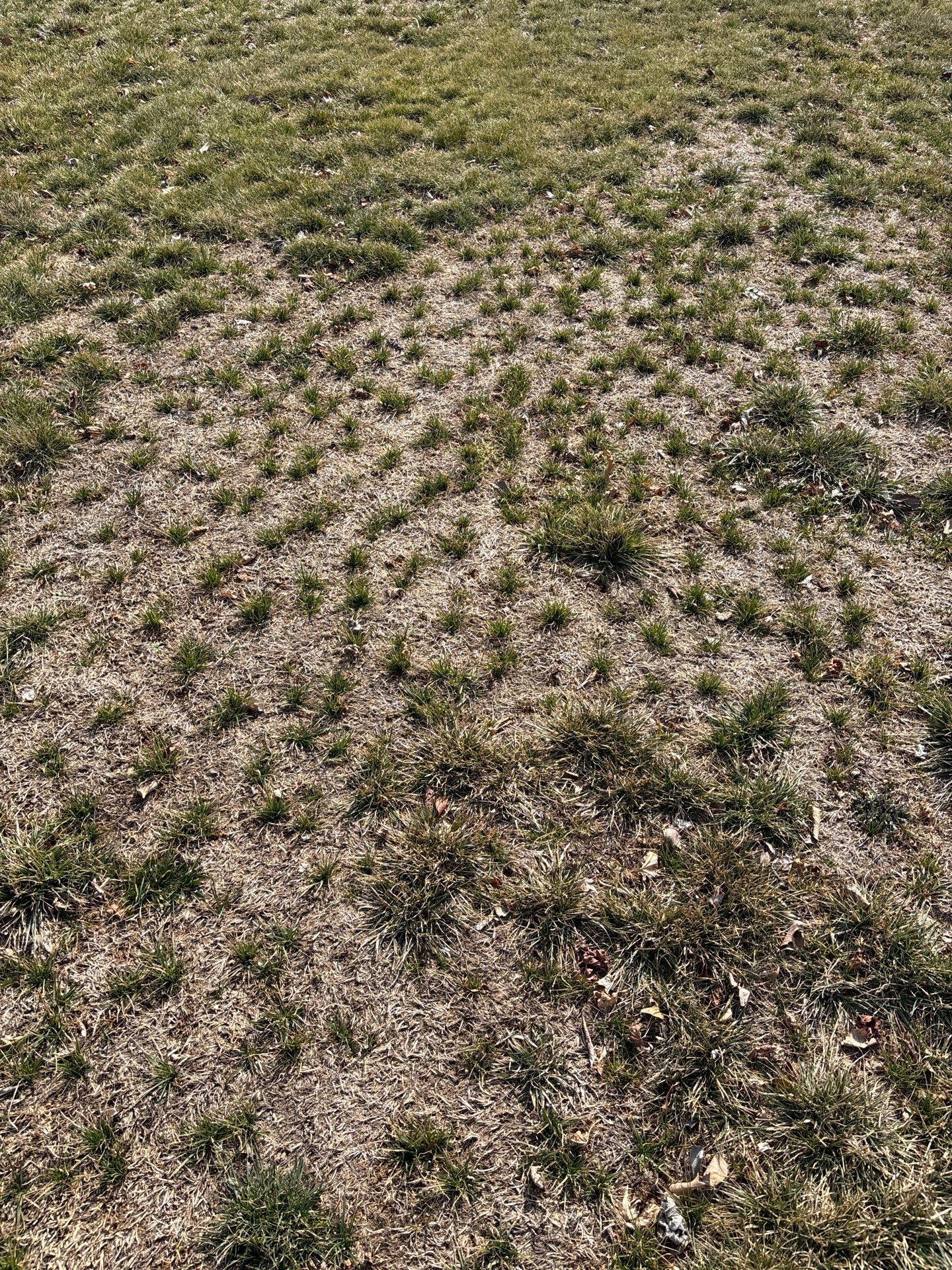 York Pa by Go Green CLC