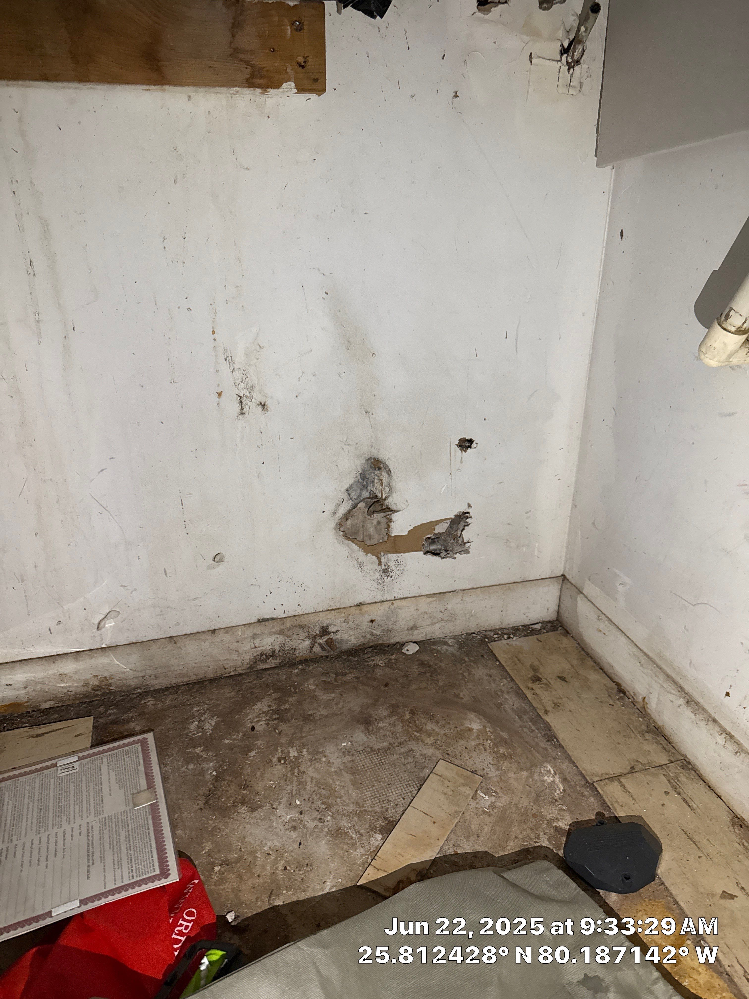 mold by SuperClean