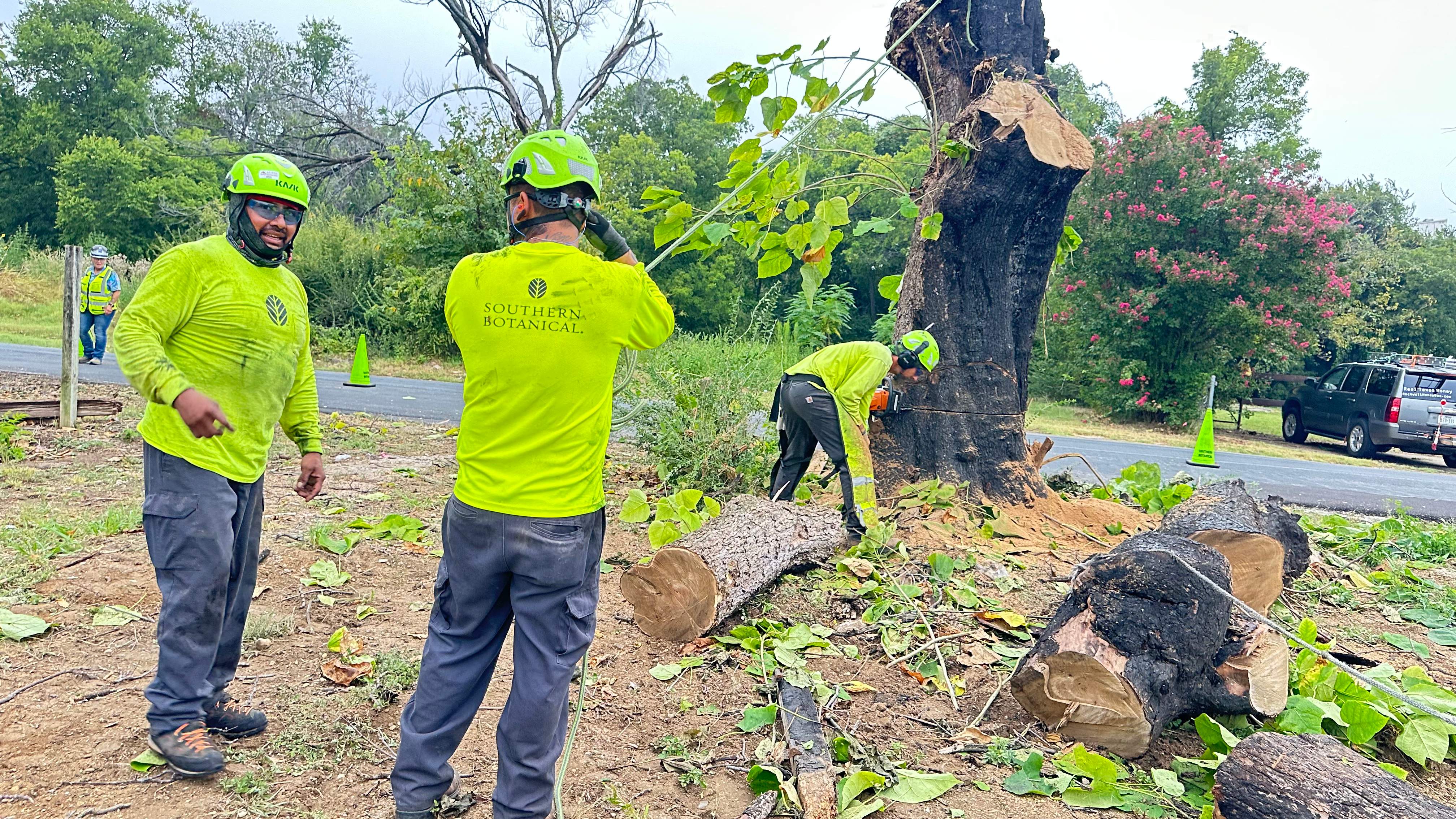 City Tree Company  by Rockwall Honey Bee Company