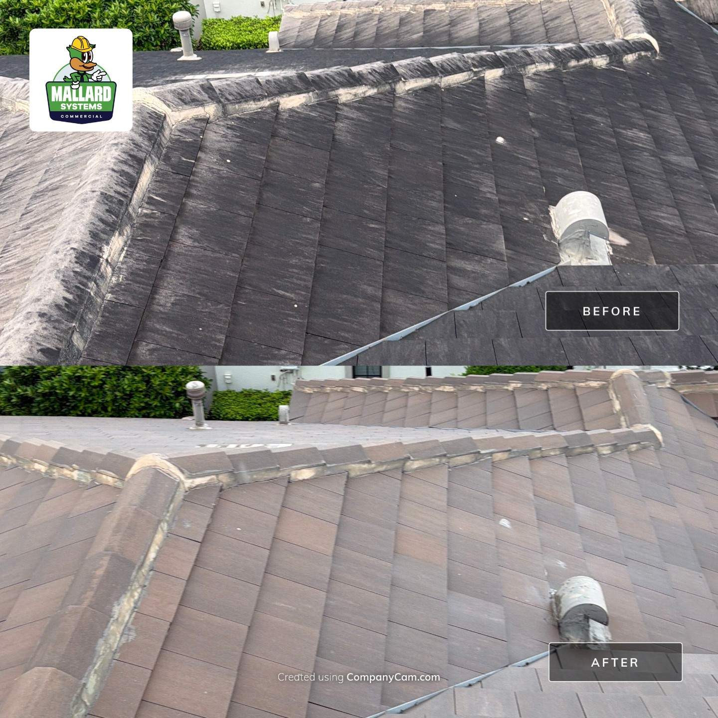 Tile Roof Cleaning in Winter Park by Mallard Systems