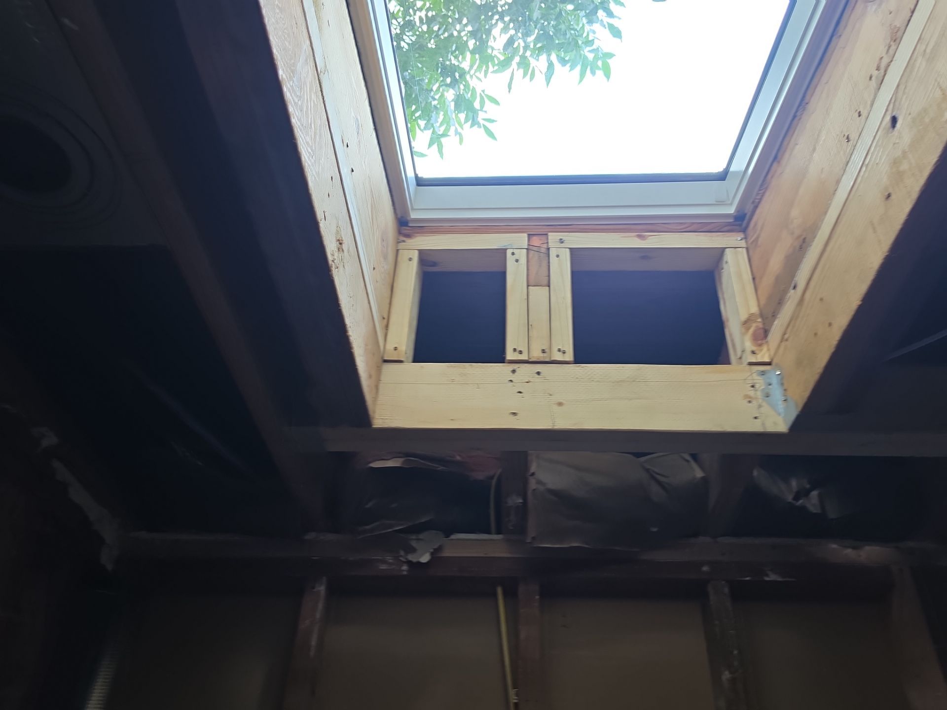 New skylights and a clean roof by REPS OF TEXAS