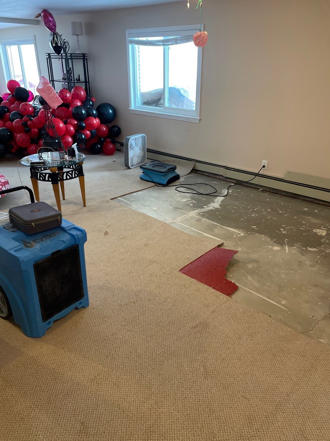 Project in White Lake Charter Township by EzDry Water Mitigation & Property Restoration