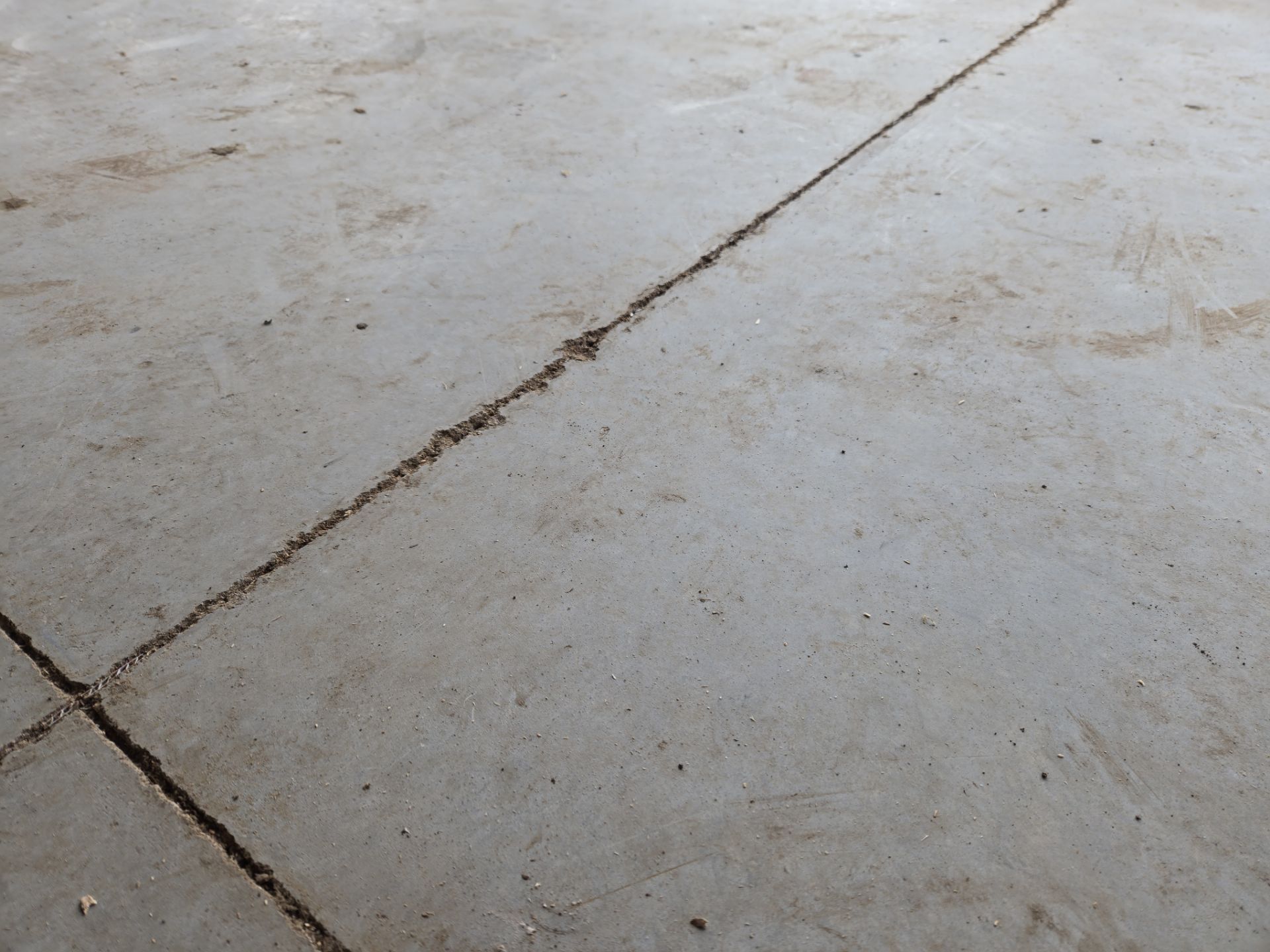 Speckled Epoxy Floor Coating for Large Shop in Rock Valley by Select Painting, Coatings & Garage Cabinets
