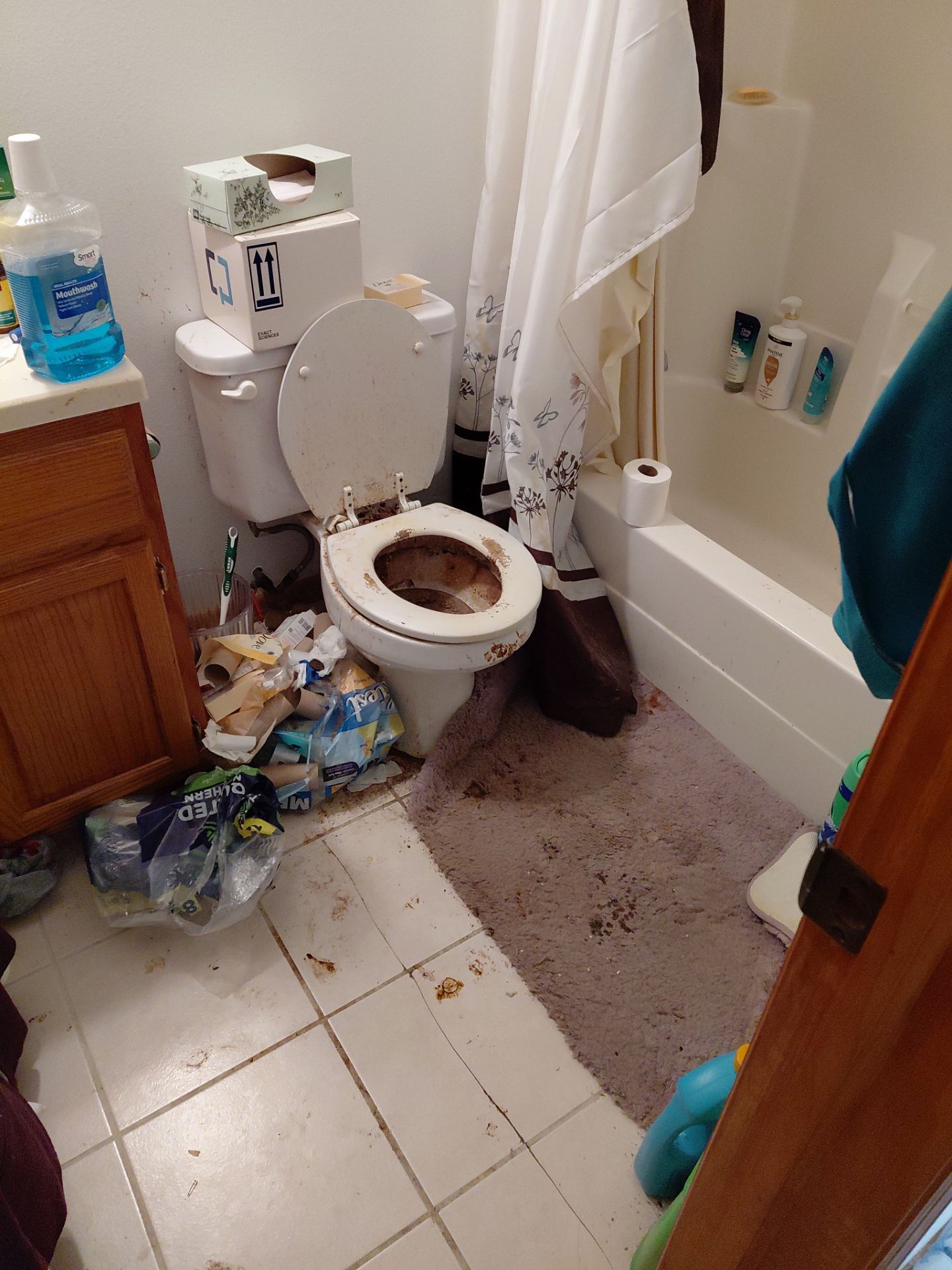 Clutter Removal by Bio-One of South Dakota