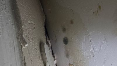 AC Leak Water Damage — Cape Coral, FL