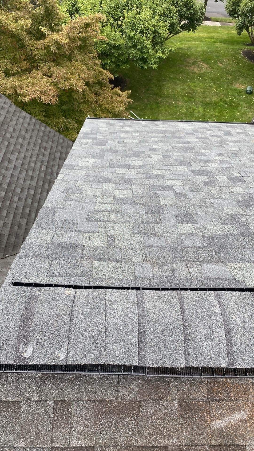 Silver Birch Shingles by Reimagine Roofing