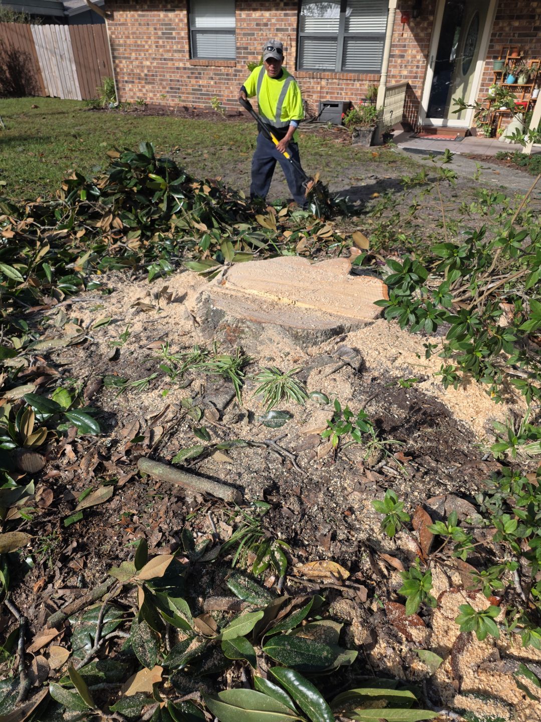 Tree Removal & Sod Install | Residential by ProGreen Services
