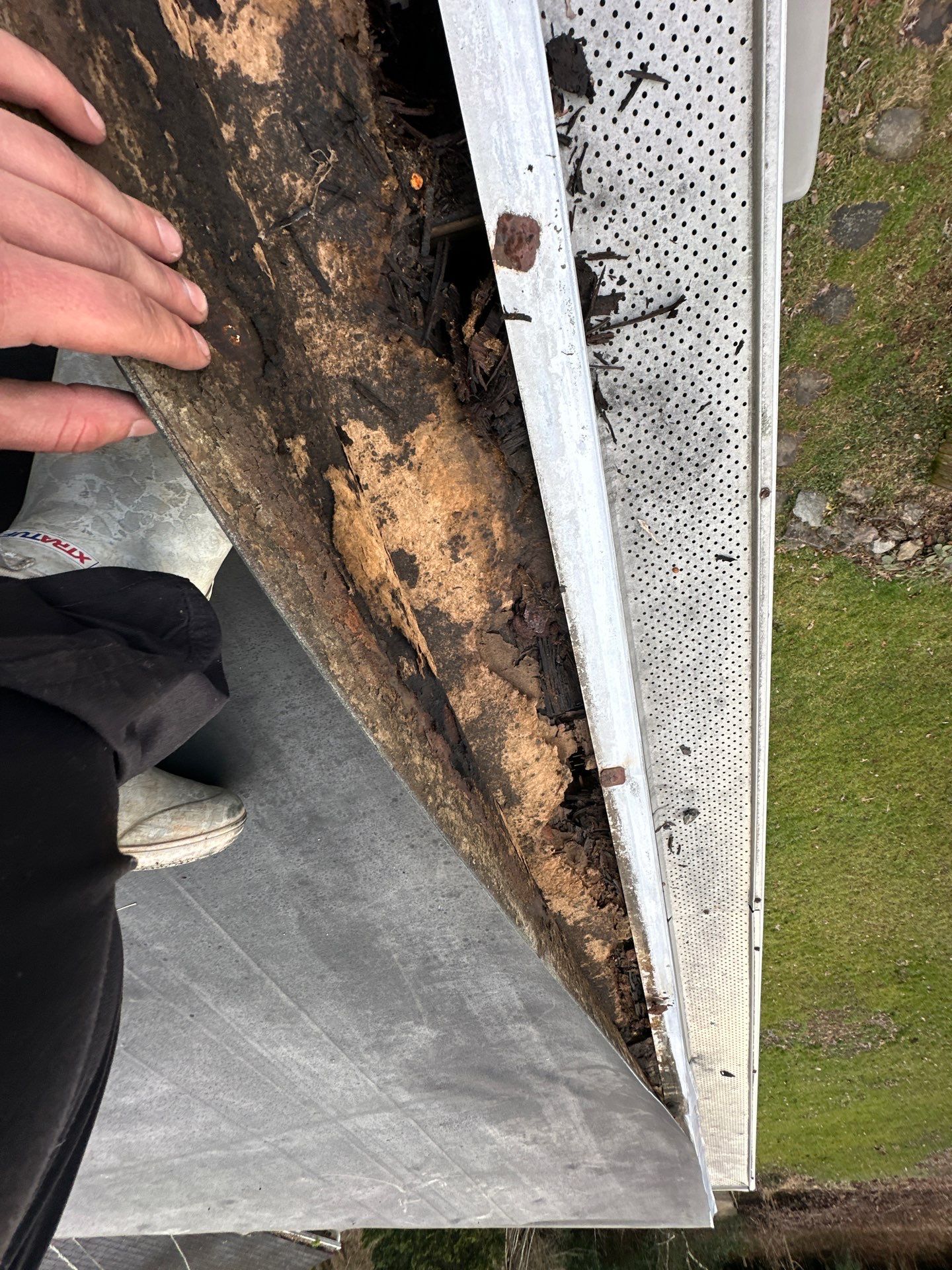 Roof Replacement in Freeland, MD • Matt H. by Seipp Roofing, LLC