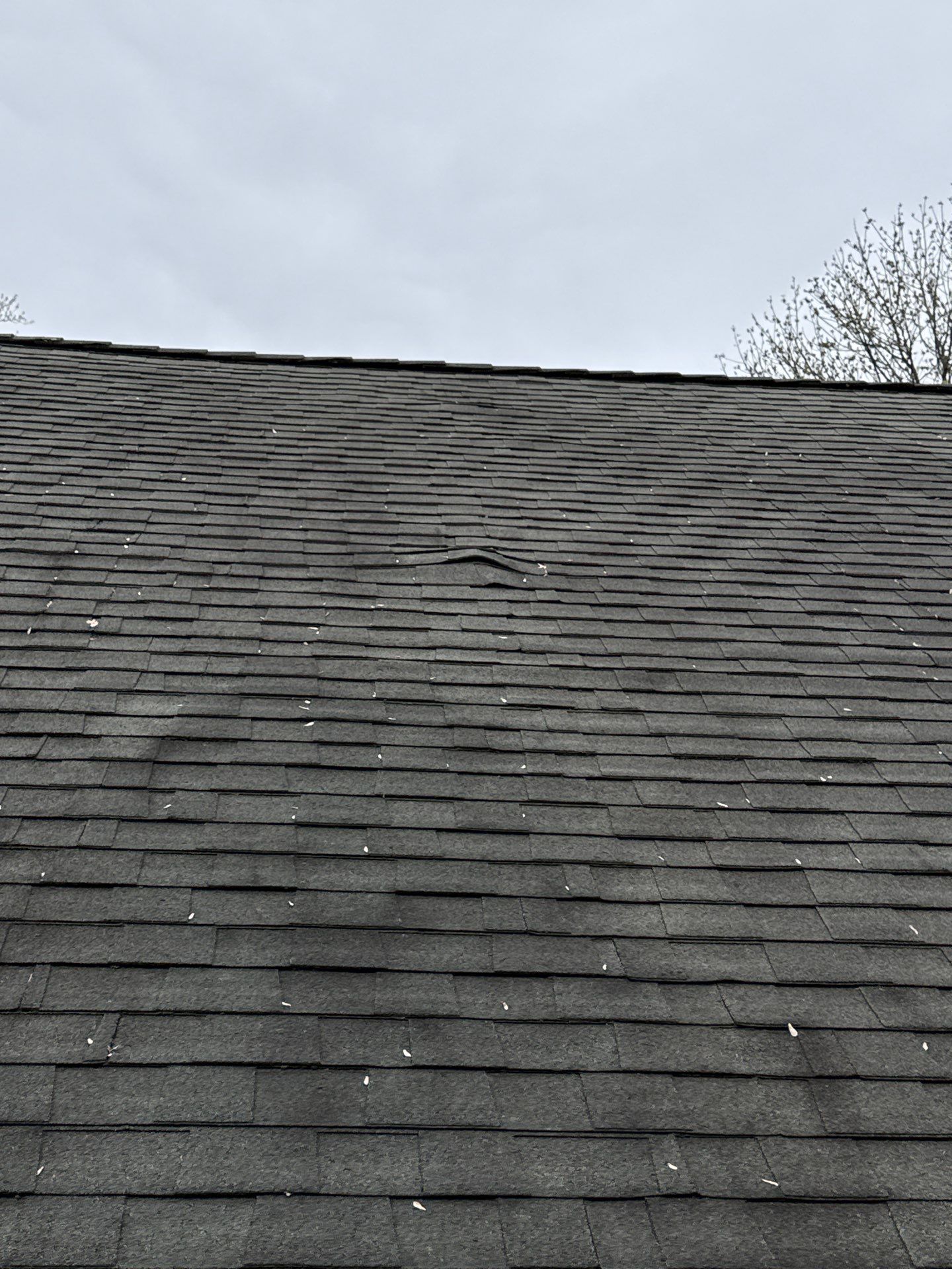 Roofing Services in Arlington, VA by My Painter 