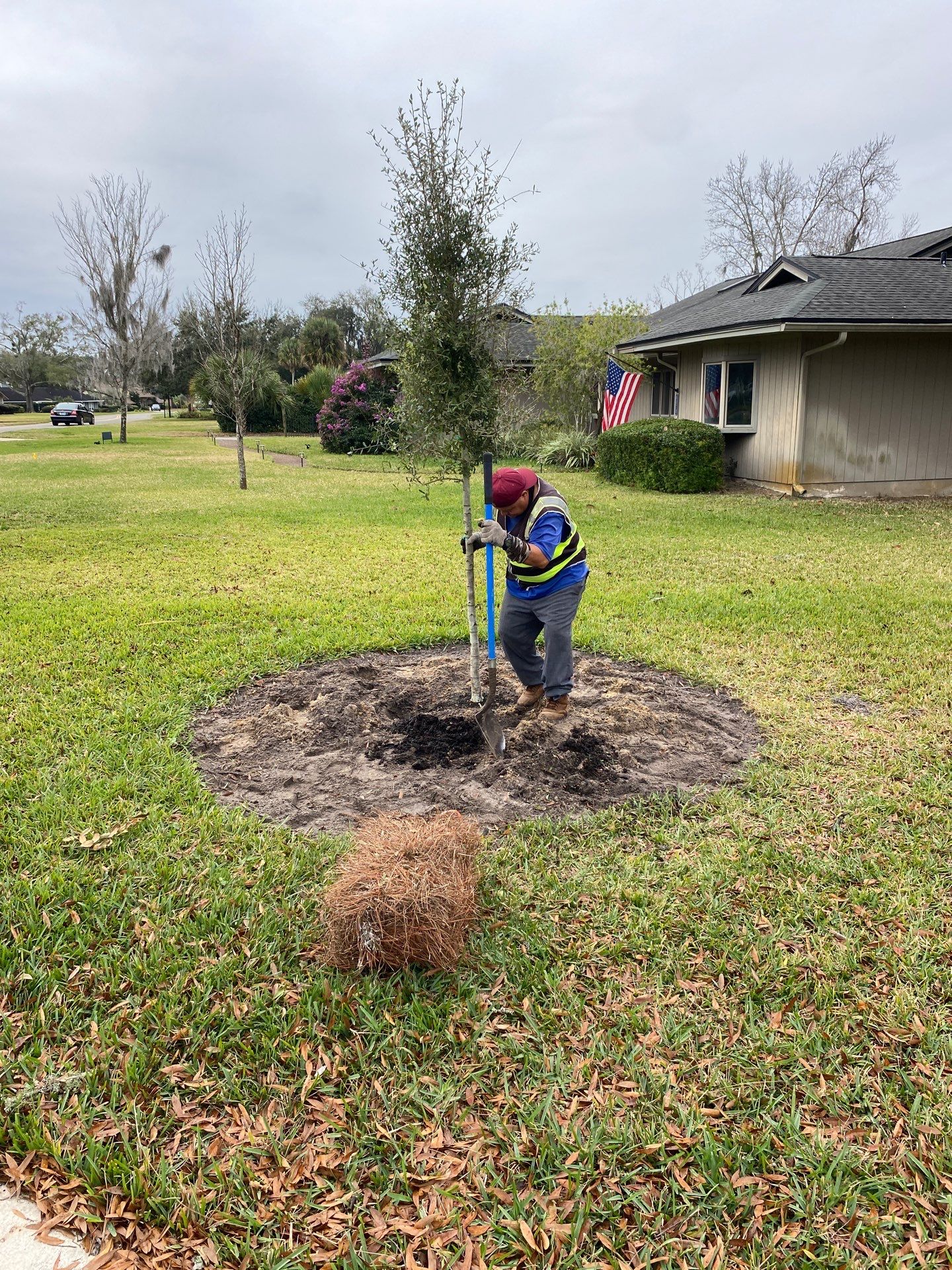 Deerwood | Live Oak Planting Project  by ProGreen Services