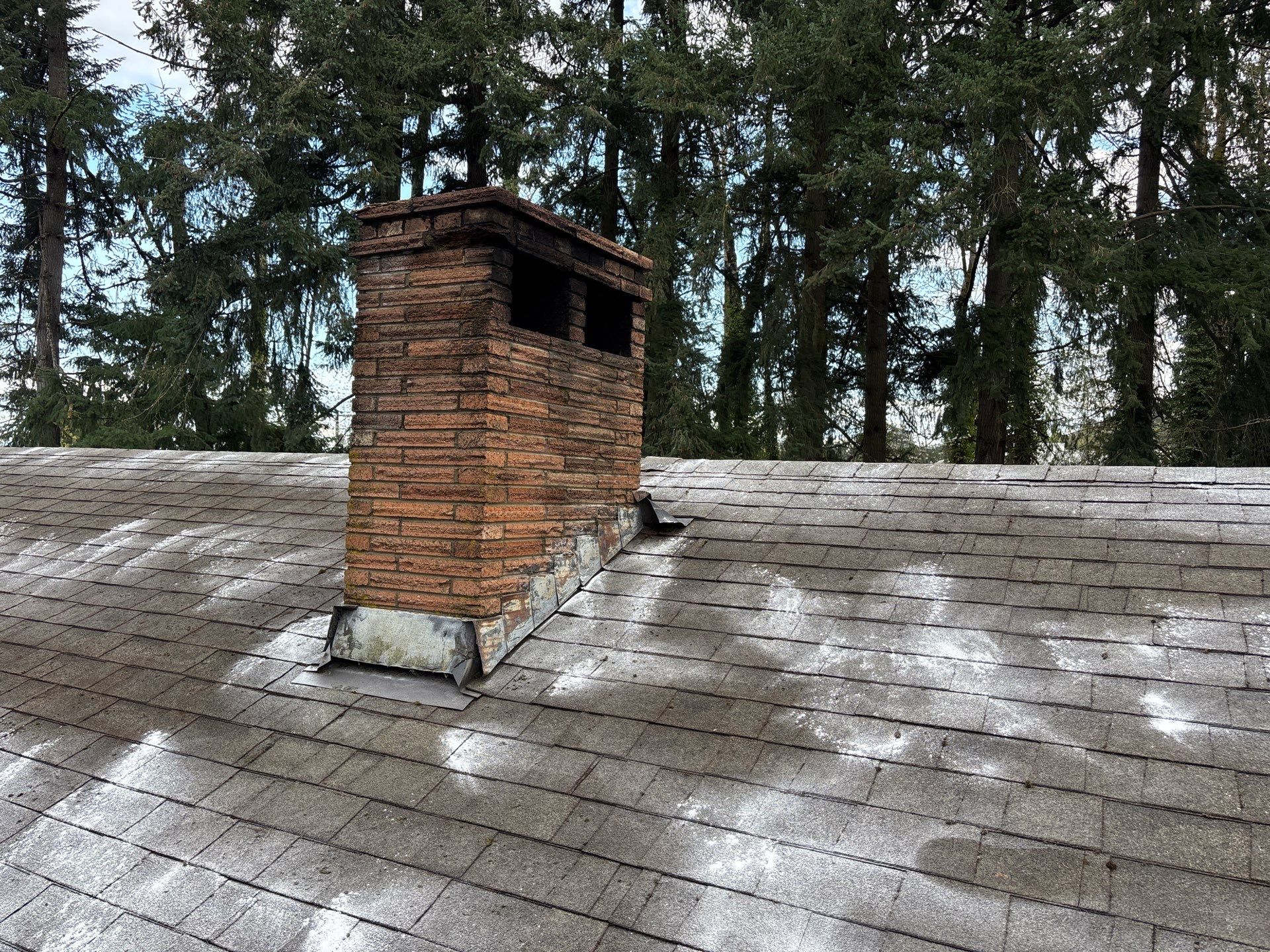 Roof Maintenance in West Linn by Prodigy Roof Solutions