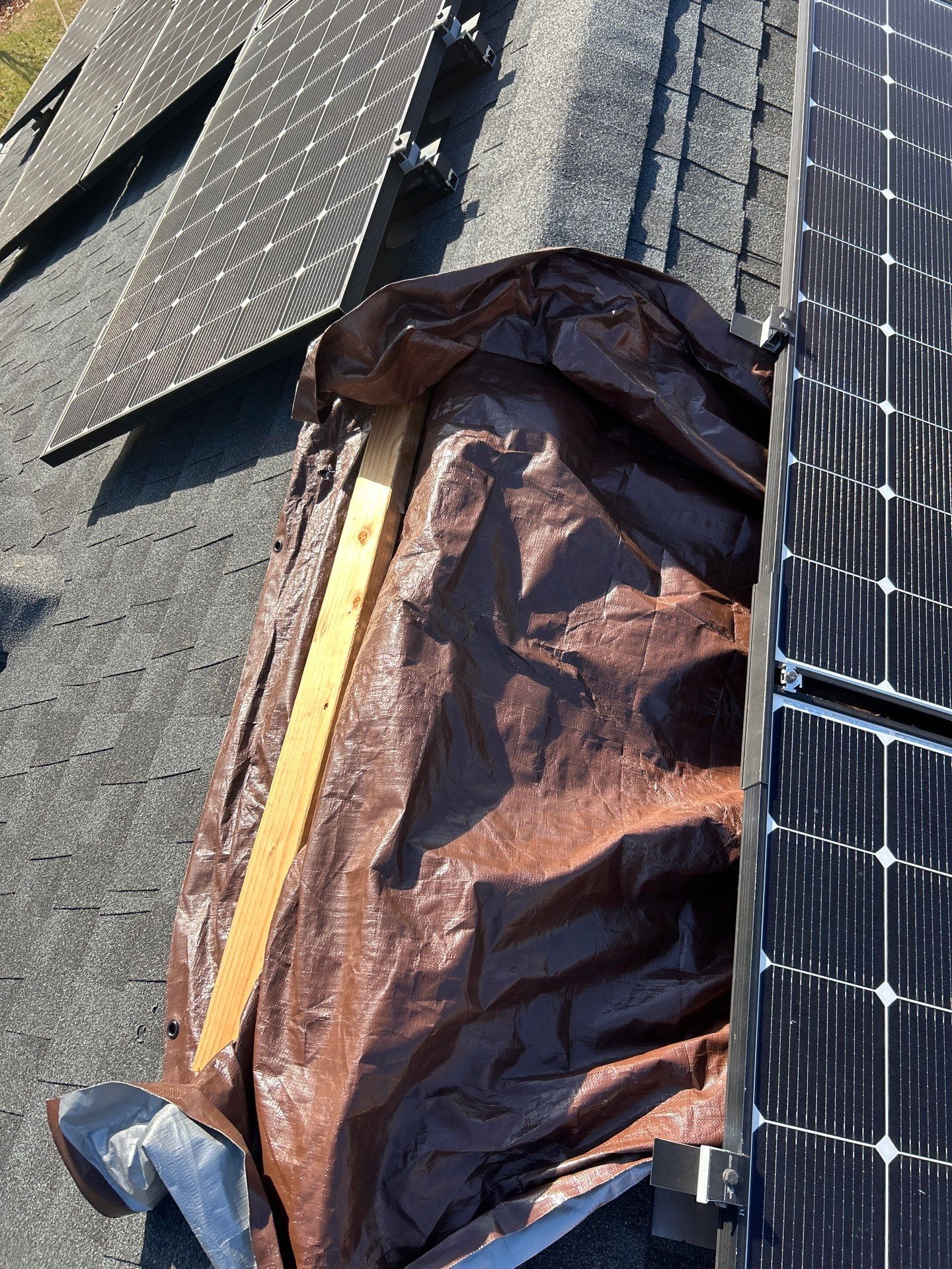 Estate Gray Shingles by Reimagine Roofing
