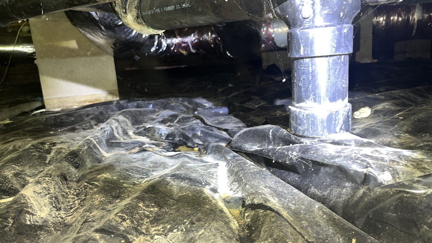 Impact Choice Encapsulation using YCS Pro Cleaner by Impact Crawlspace