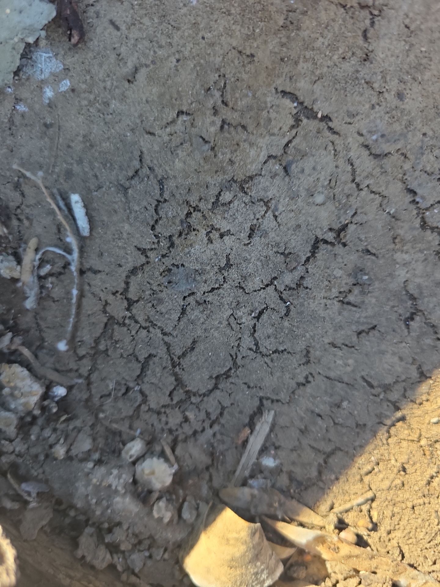 Gold Canyon Tile Reset  by Weather-Tite Roofing