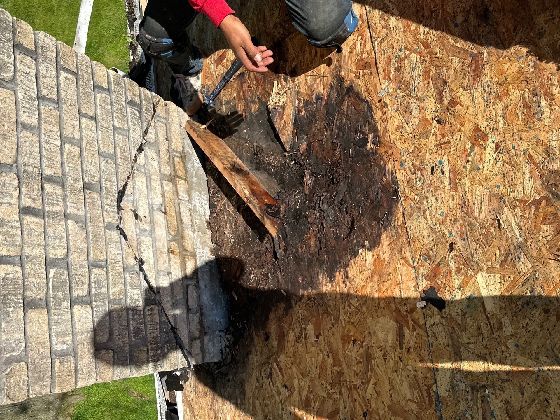 Designer Shingle Roof Replacement in Baltimore, MD • Susan S. by Seipp Roofing, LLC