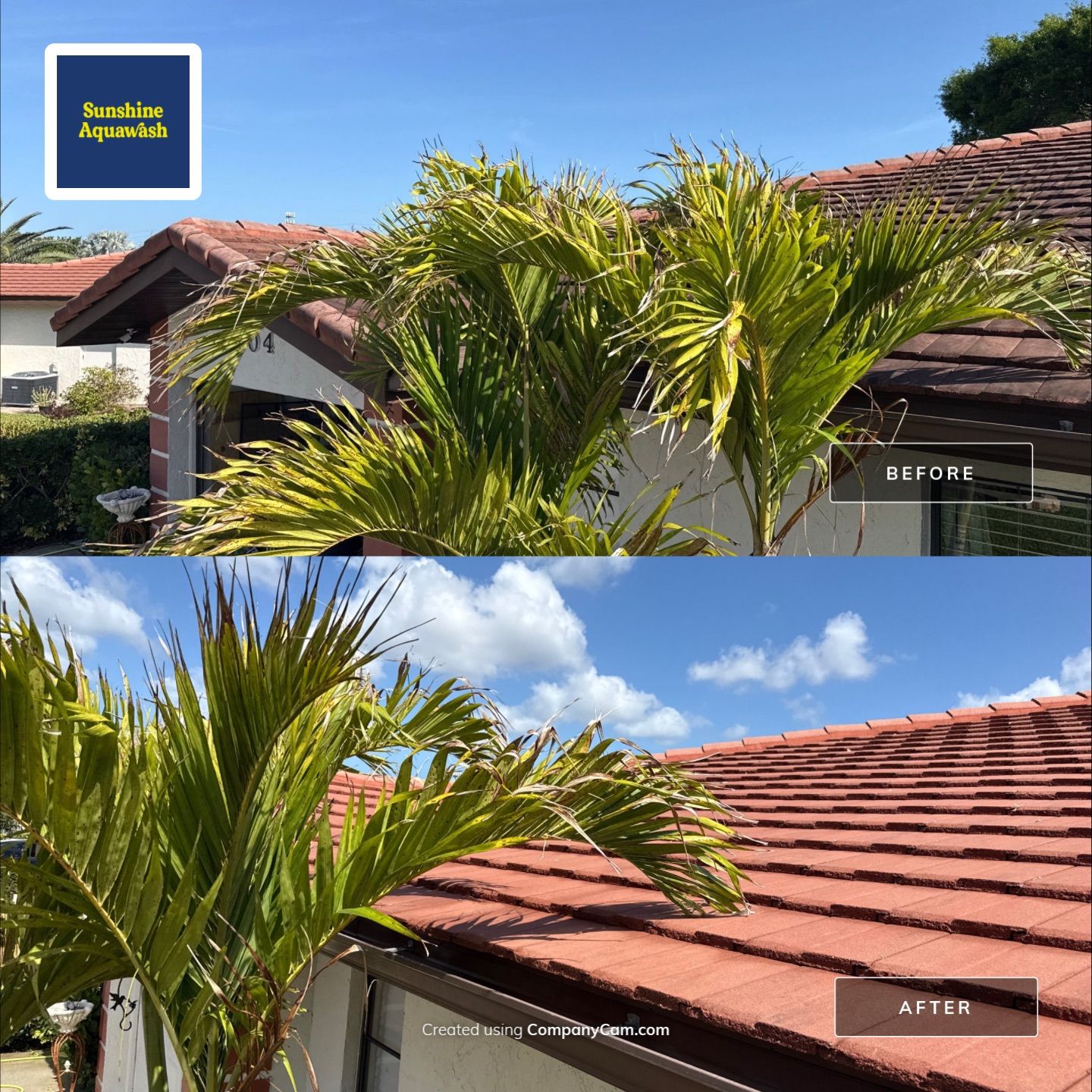 Tile Roof Cleaning in Vivienda at Bradenton, FL | No Roof Walking Method by Sunshine AquaWash