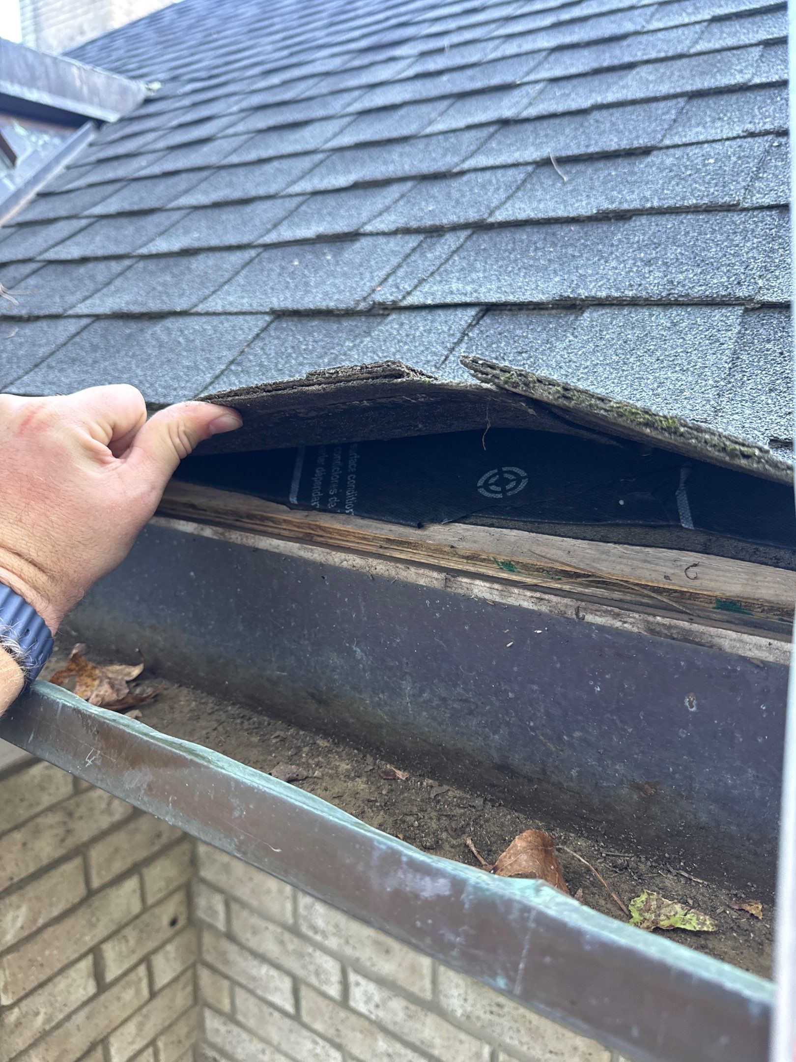 Chyleen Feagin by Tru-Built Roofing