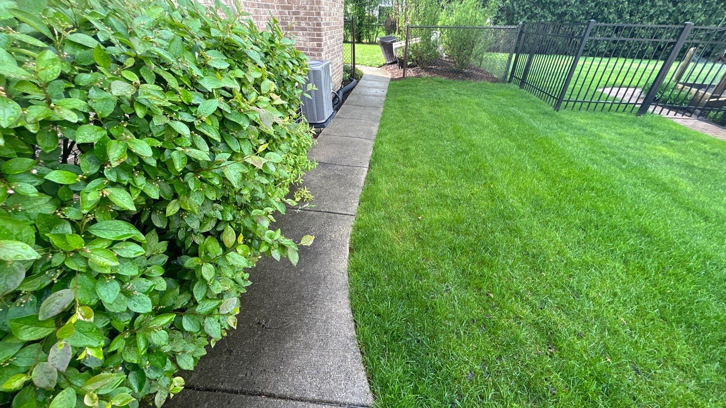 concrete patio and driveway cleaning by Northern Power Washing LLC.