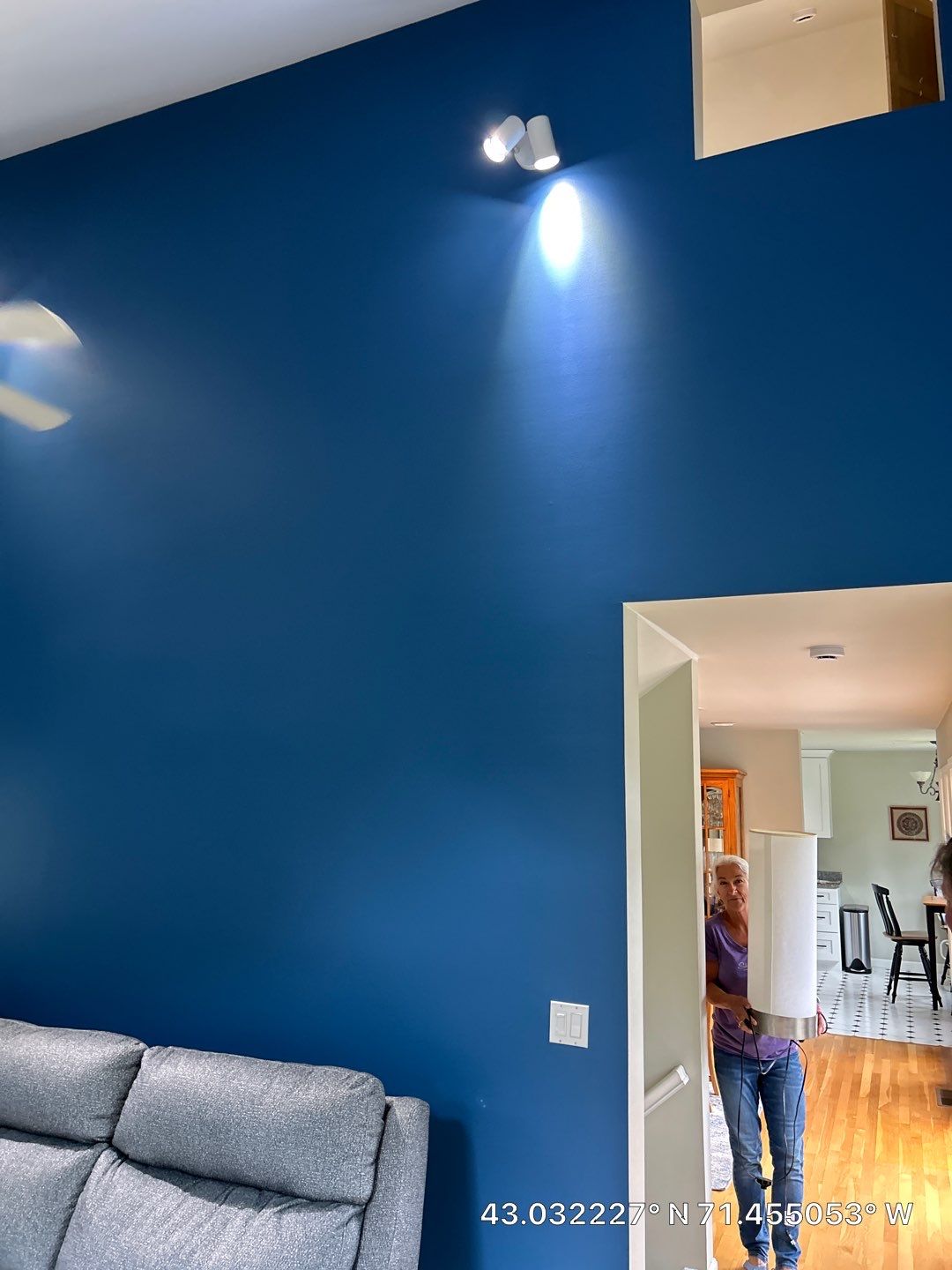 Interior Living Room Painting with Deep Blue Walls in Manchester by The Persnickety Painters