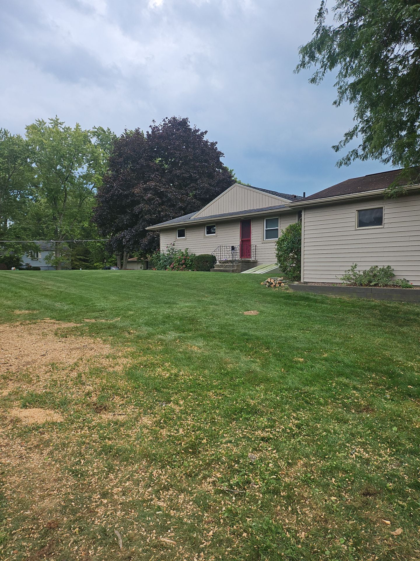 Tree Removal using Tree Removal by Mike Jones & Sons Tree Service LLC 