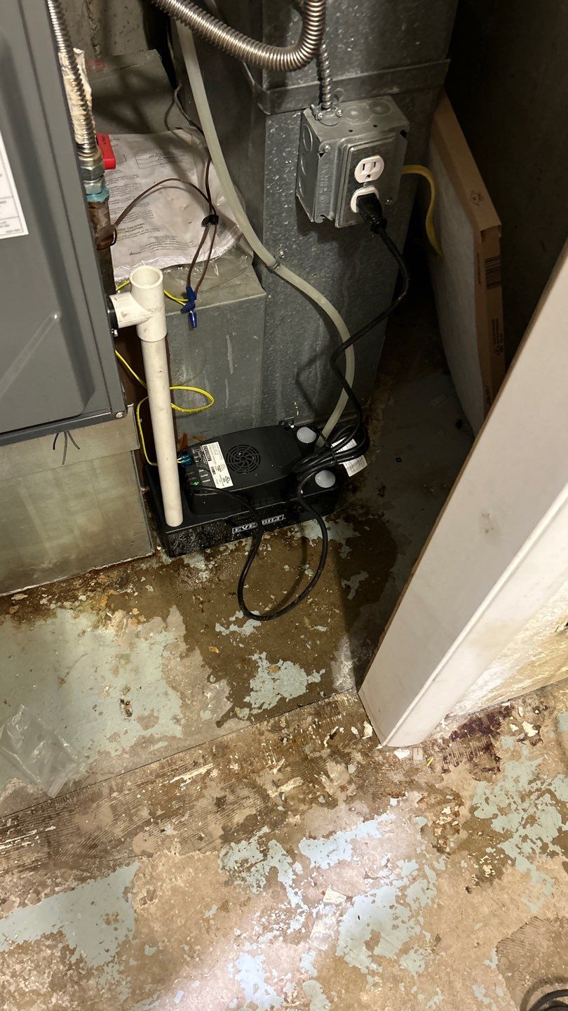 Water Damage by Accountable Home Services