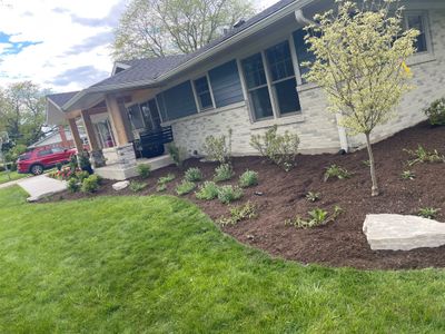 James F. - Arlington Heights, IL
