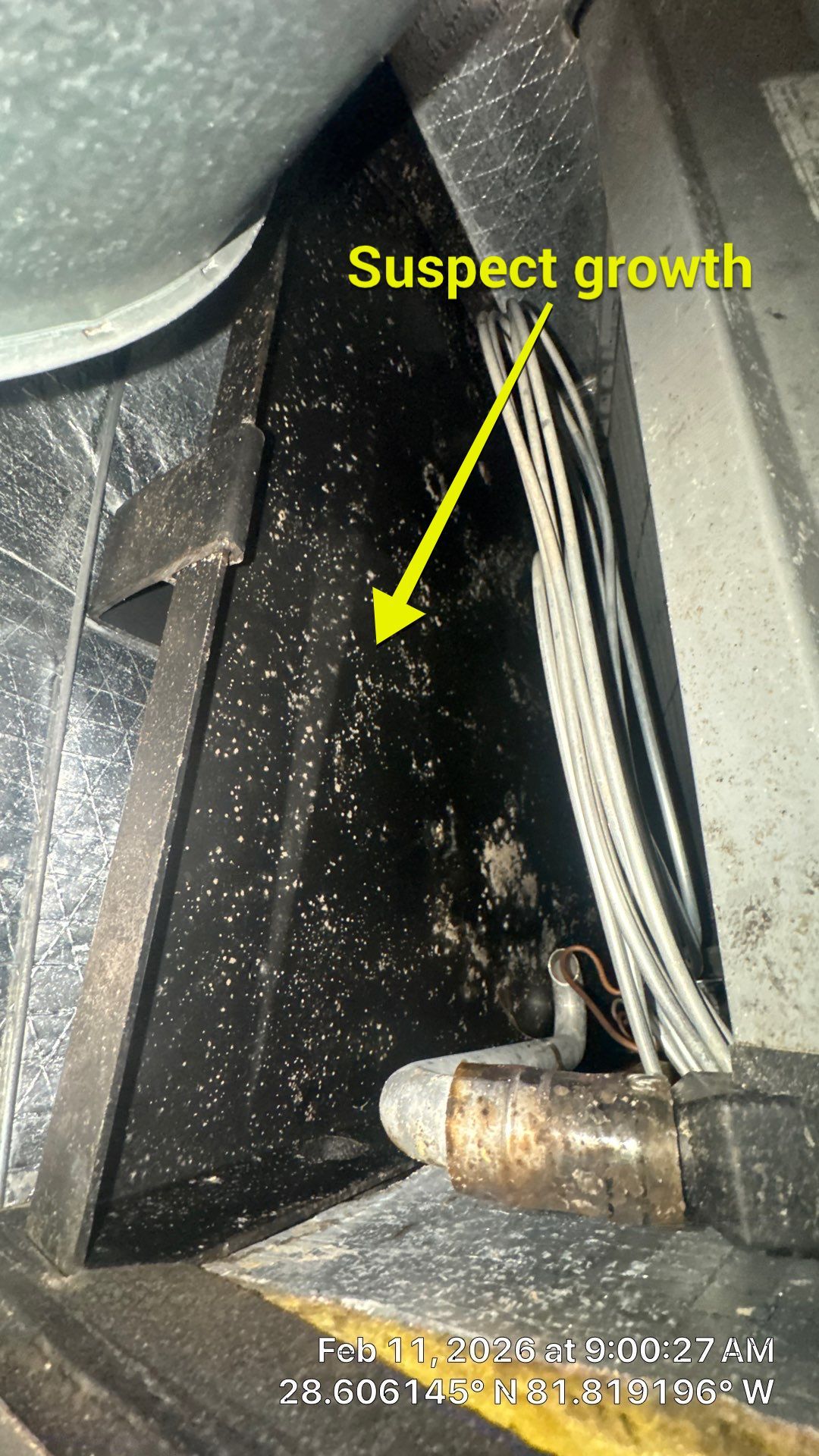 Air Duct Cleaning in Groveland by Hygienic Air, Inc