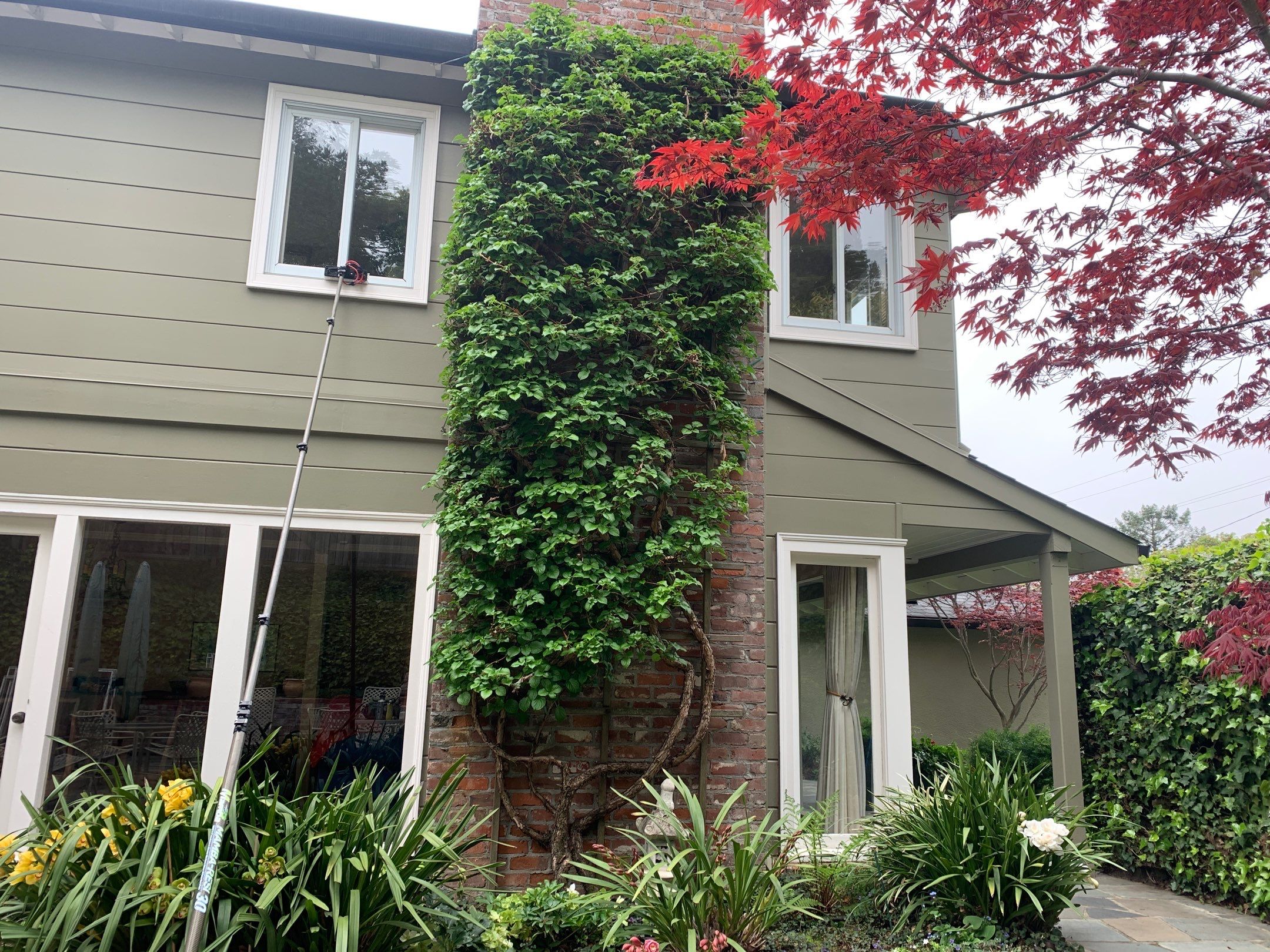 Diane Murphy by SpotFree Window Cleaning