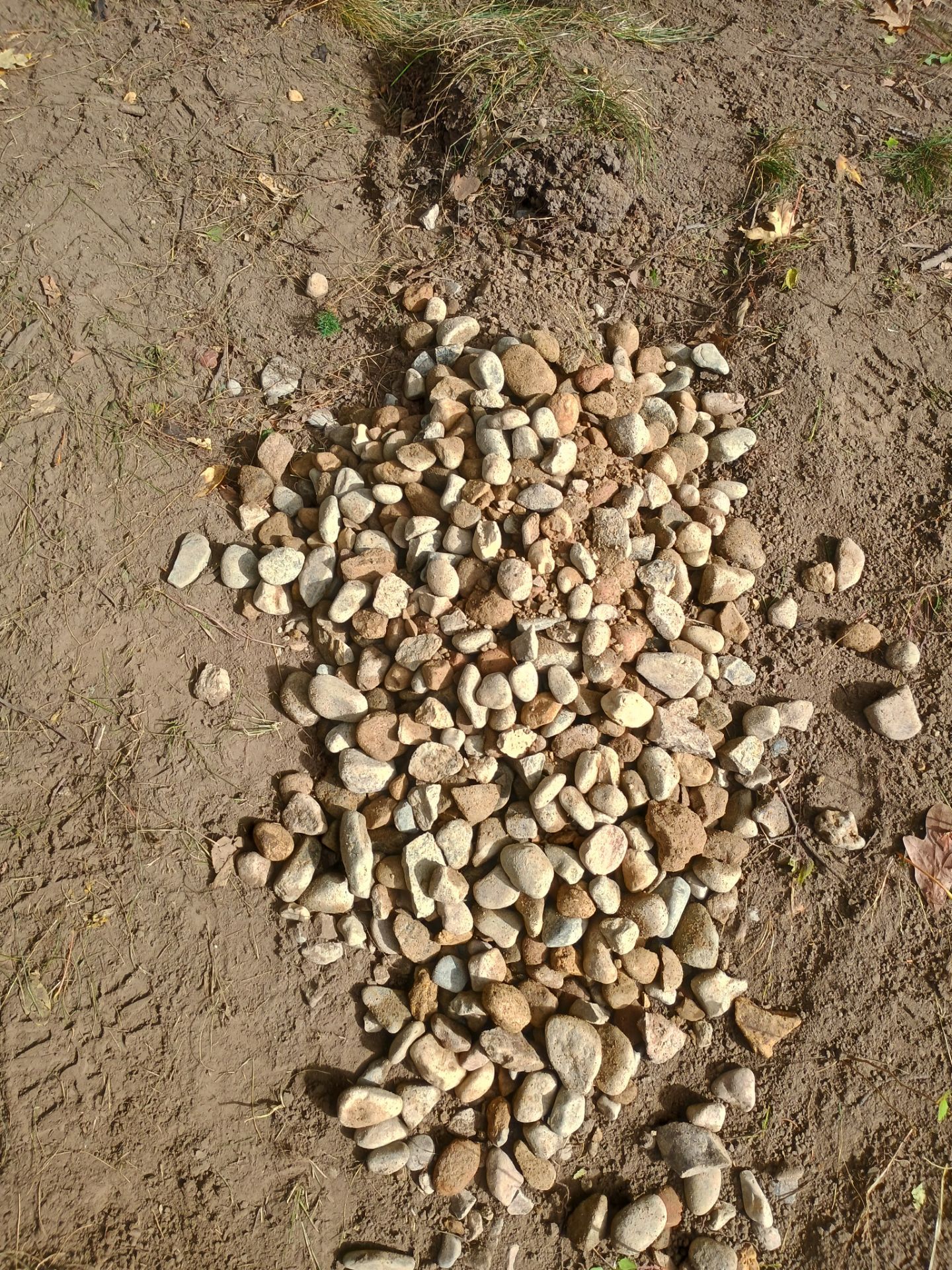 A French Drain for Maya by Waterproofing Northeast