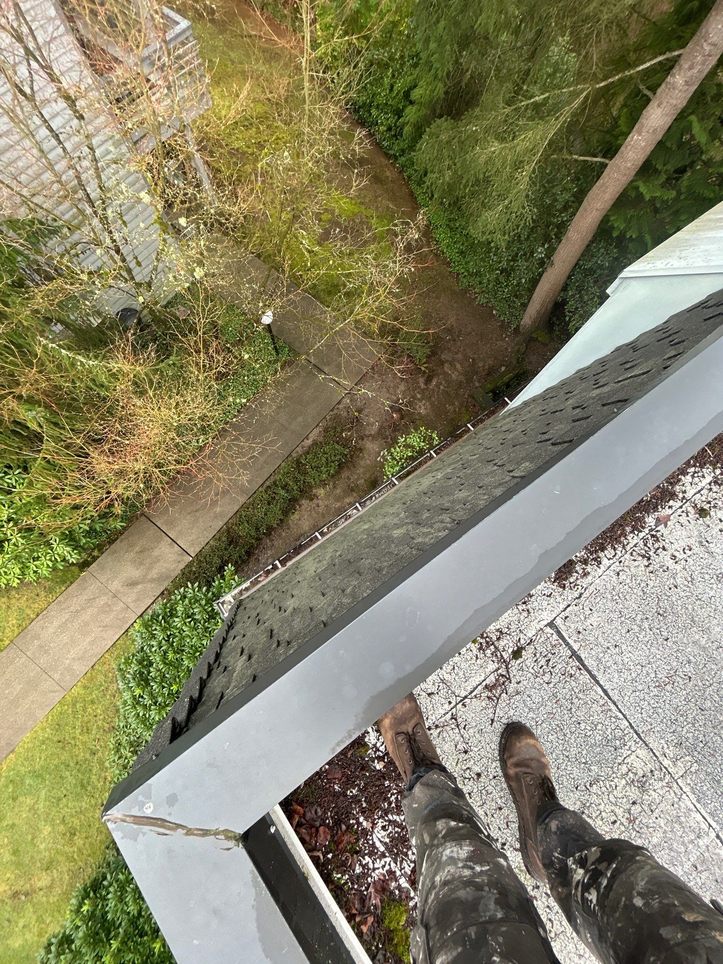 Project in Kirkland by Peaks and Valleys Construction