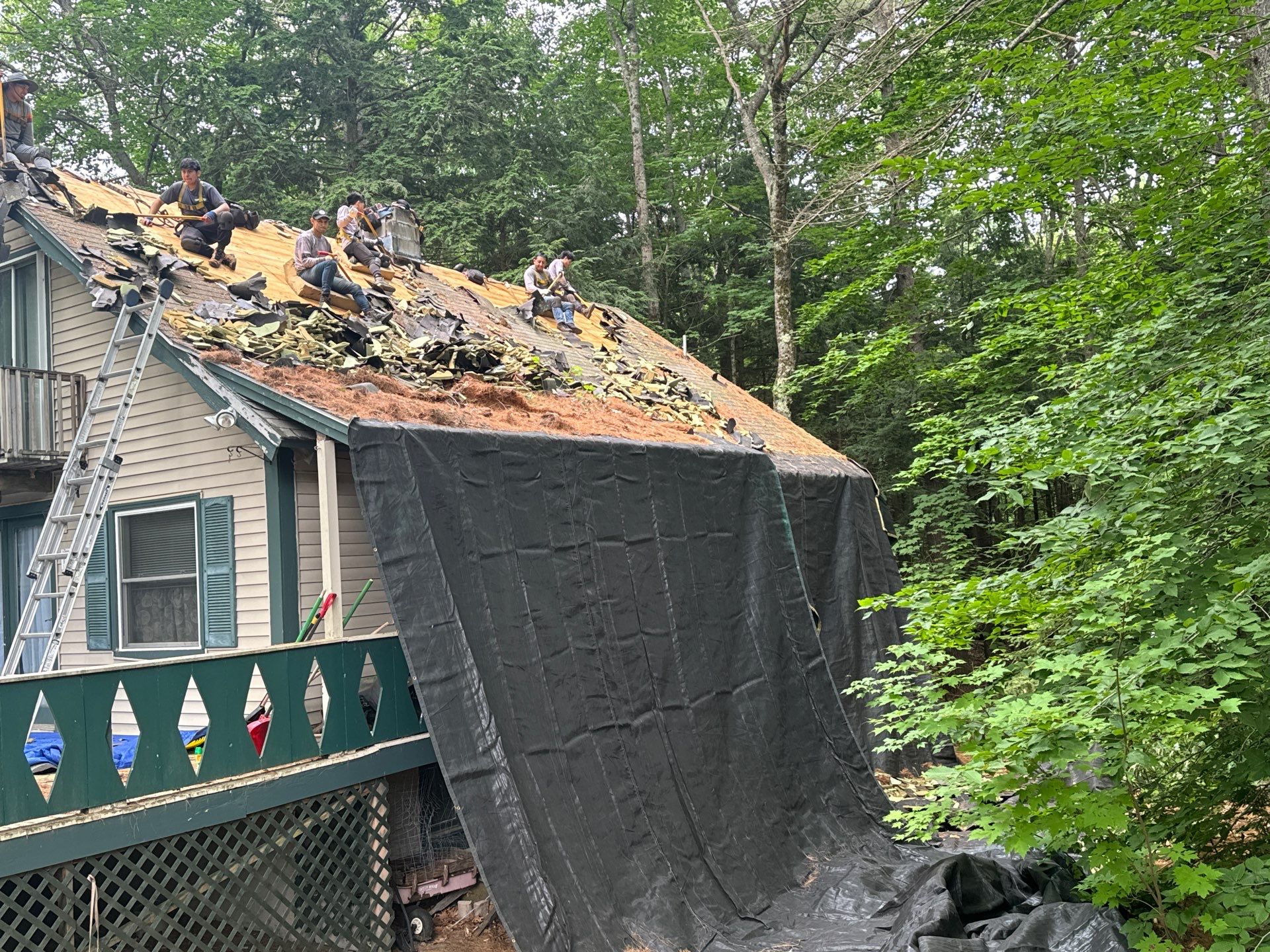 New Roof in Sanbornville, NH by Tall pine roofing