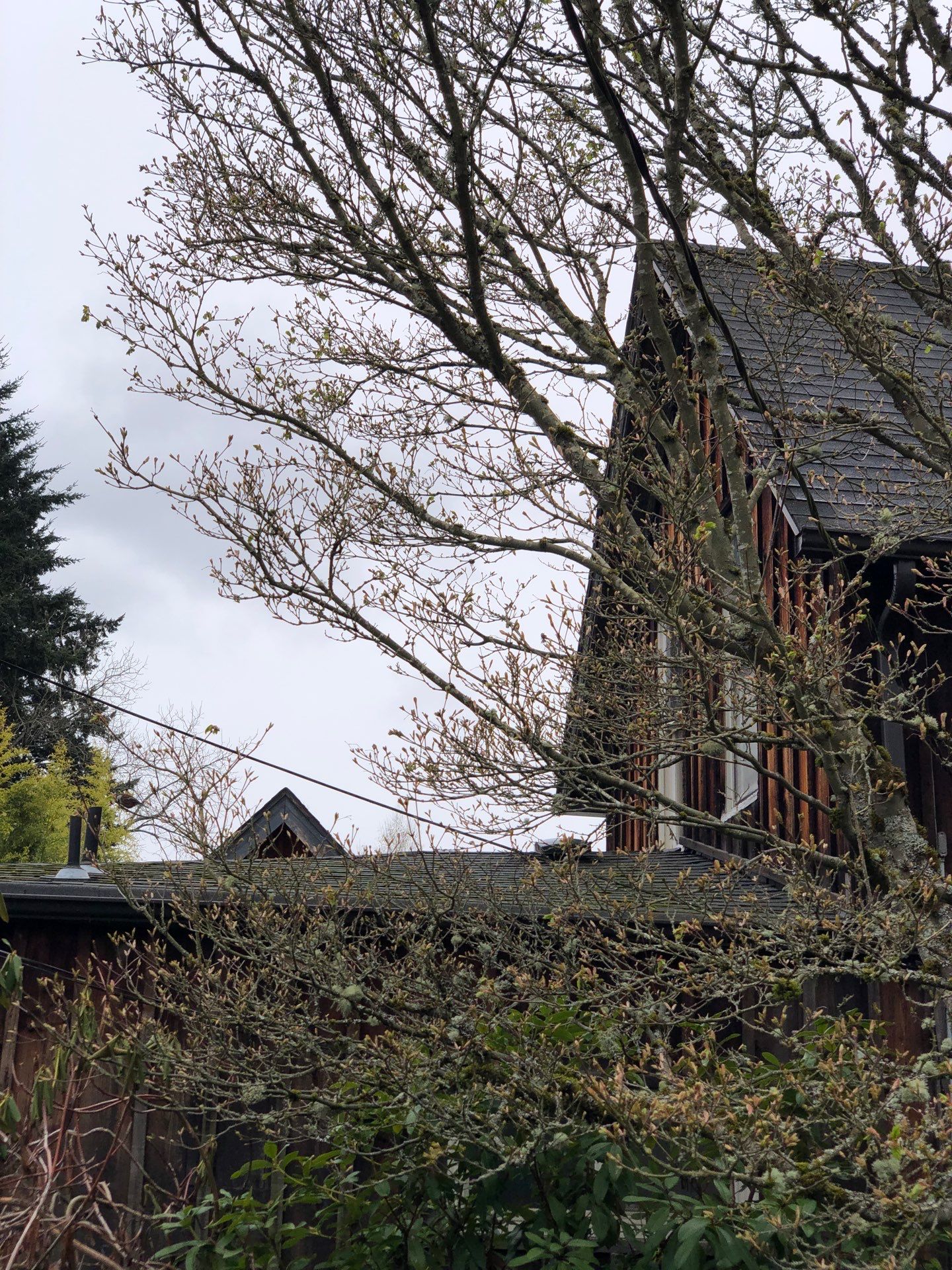 Project in Seattle by Connolly Construction Company