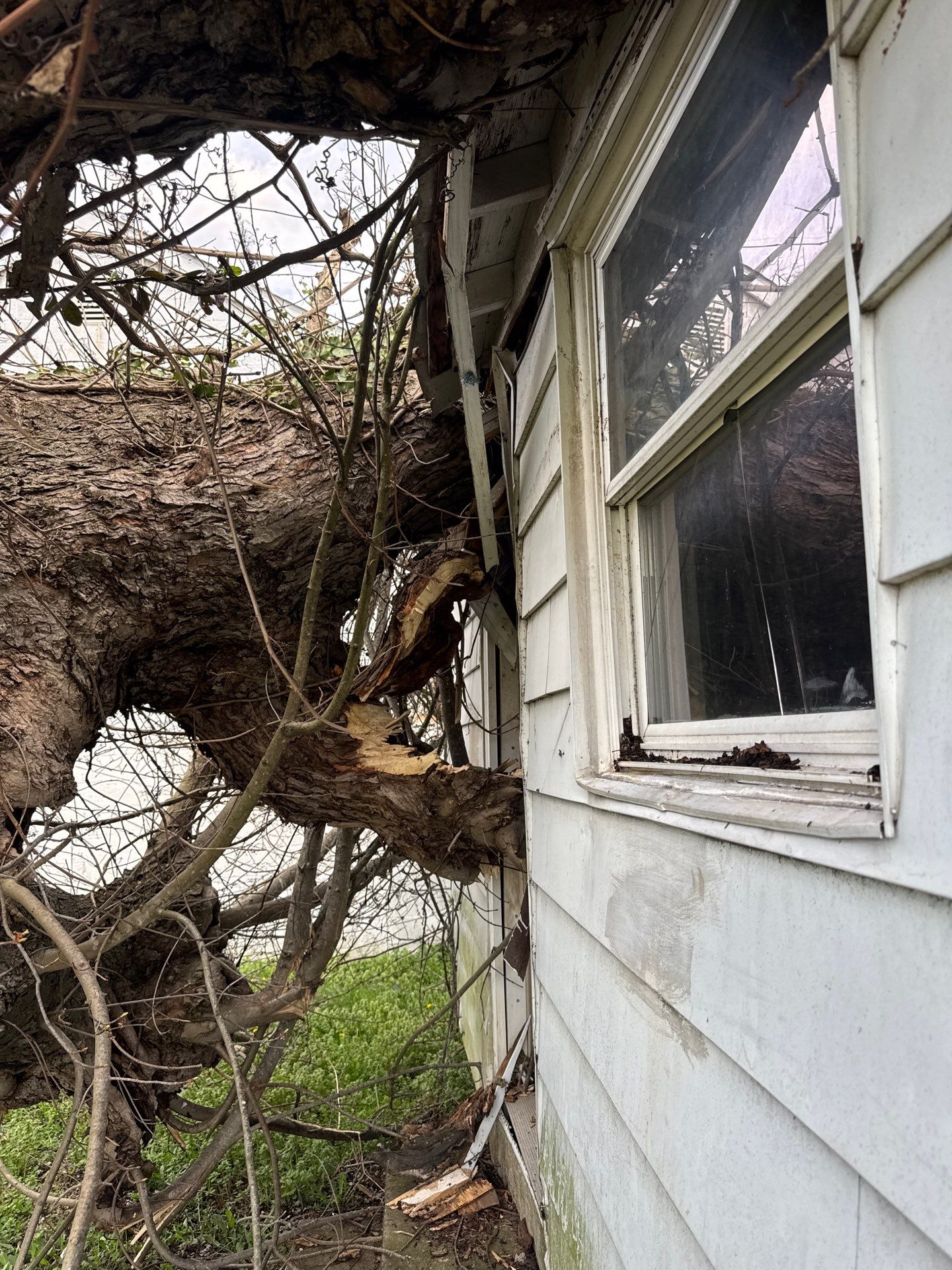 Project in Nitro, WV Rotator Crane Lifts Tree Off House | Nitro WV • One Wrong Move Job | Rotator Crane Tree Removal • Heavy Rescue Tree Job | Nitro WV • Extreme Tree Removal Over Home | Nitro WV by Jones Empire LLC